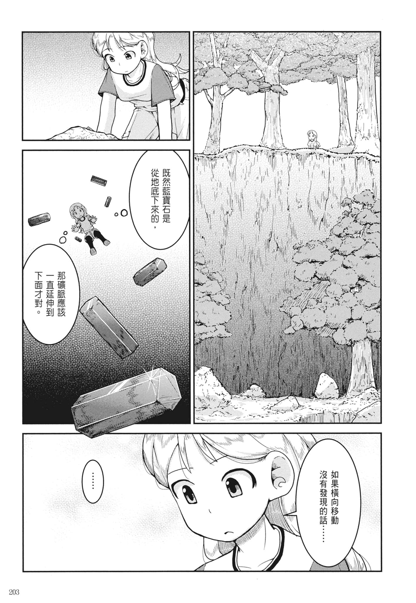 第 205 页