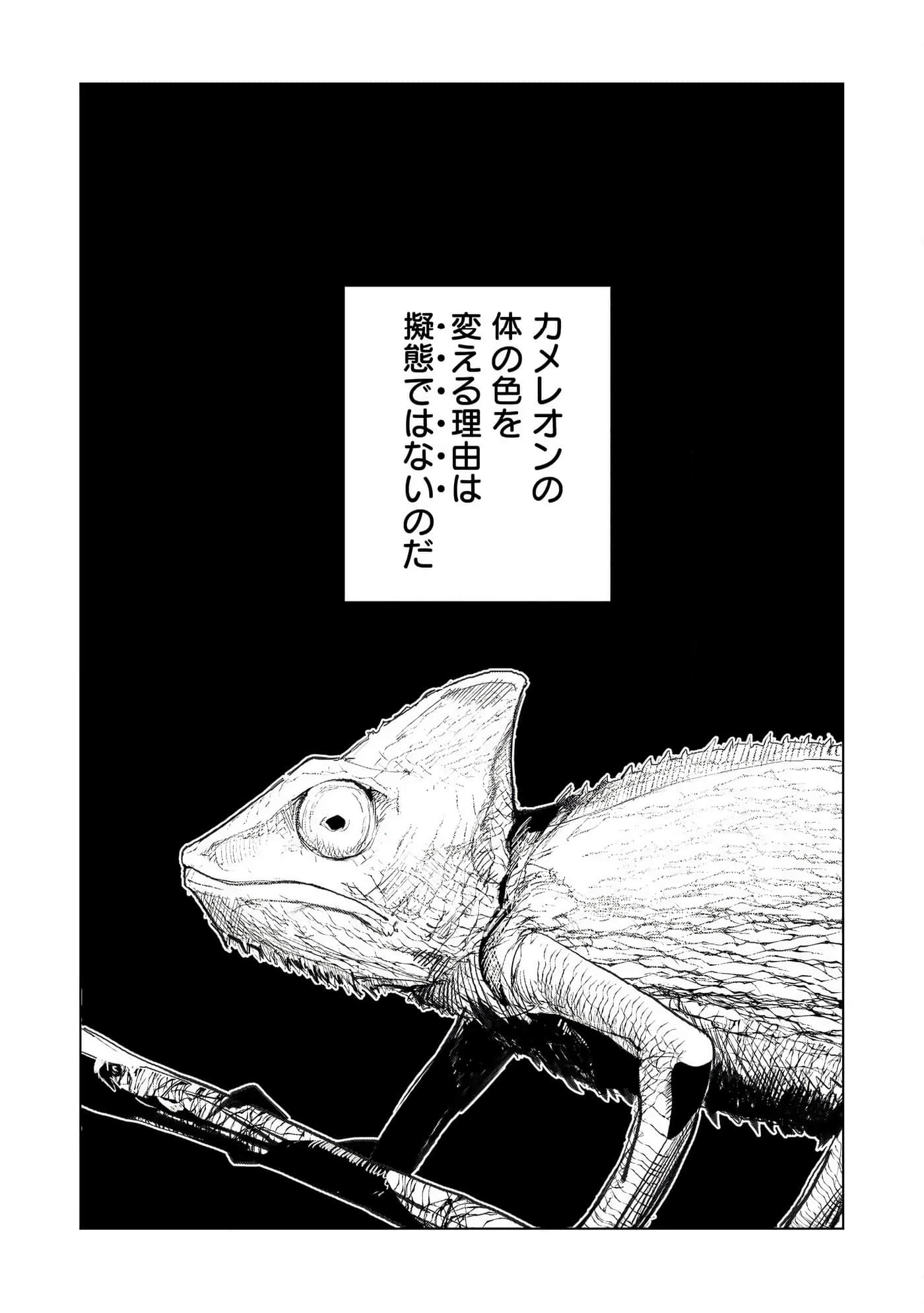 第 3 卷 第 127 页