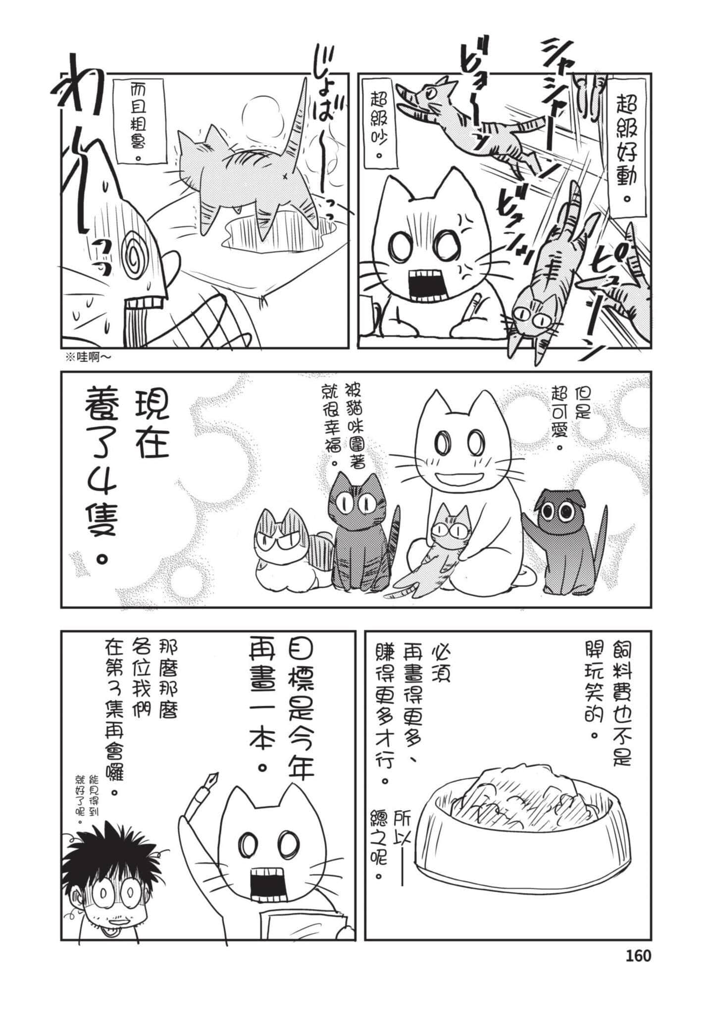 第 161 页