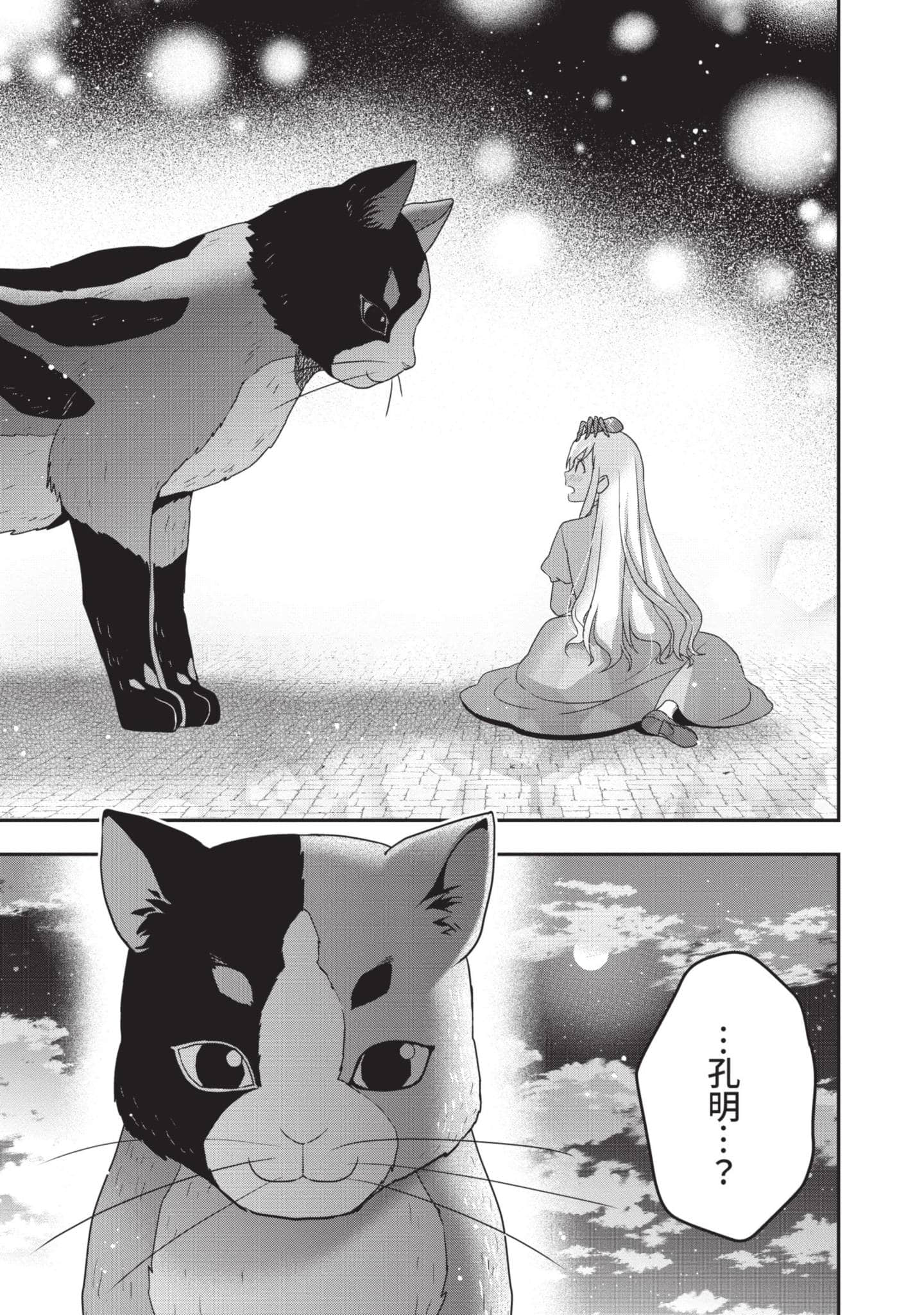 第 46 页