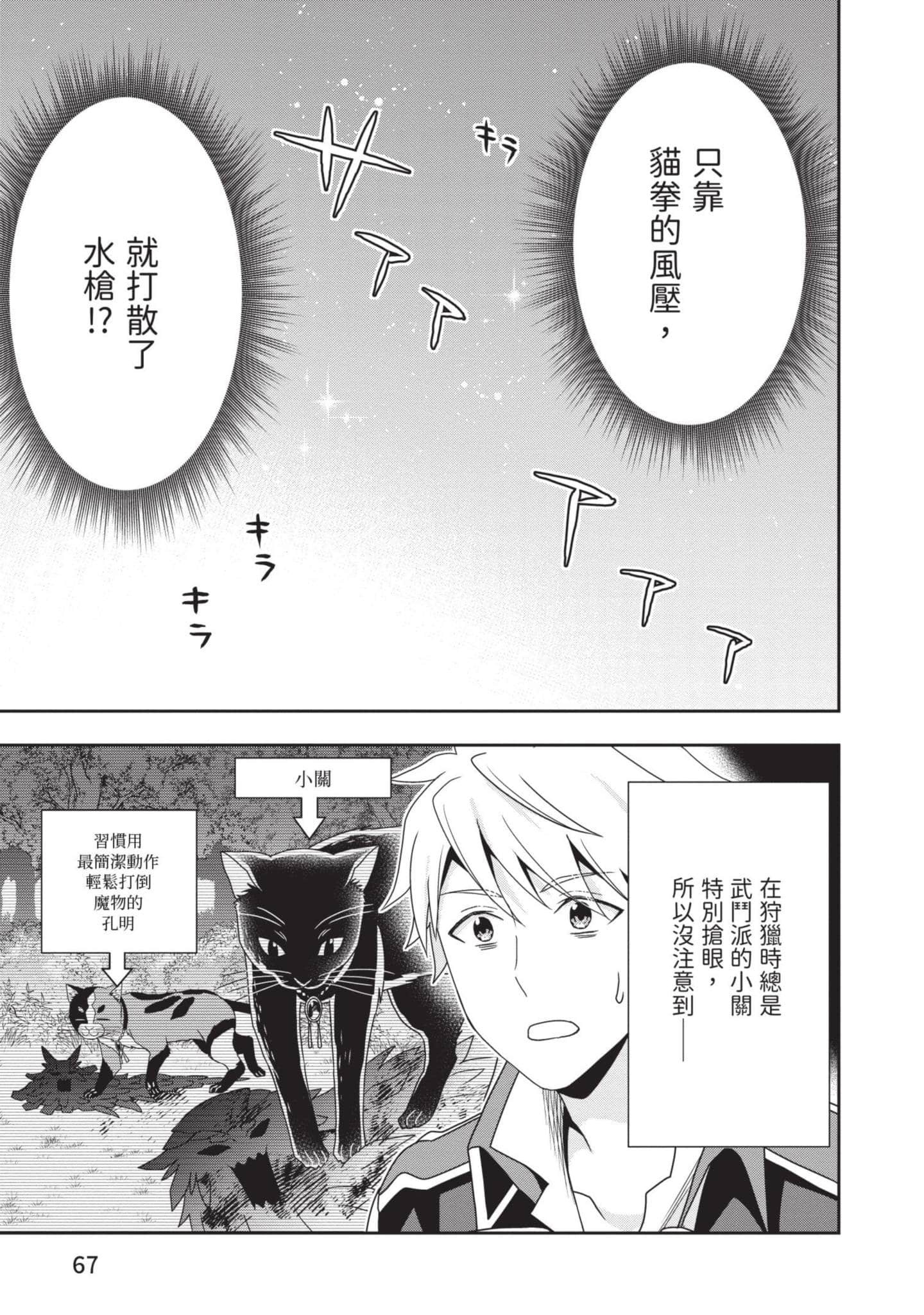 第 68 页