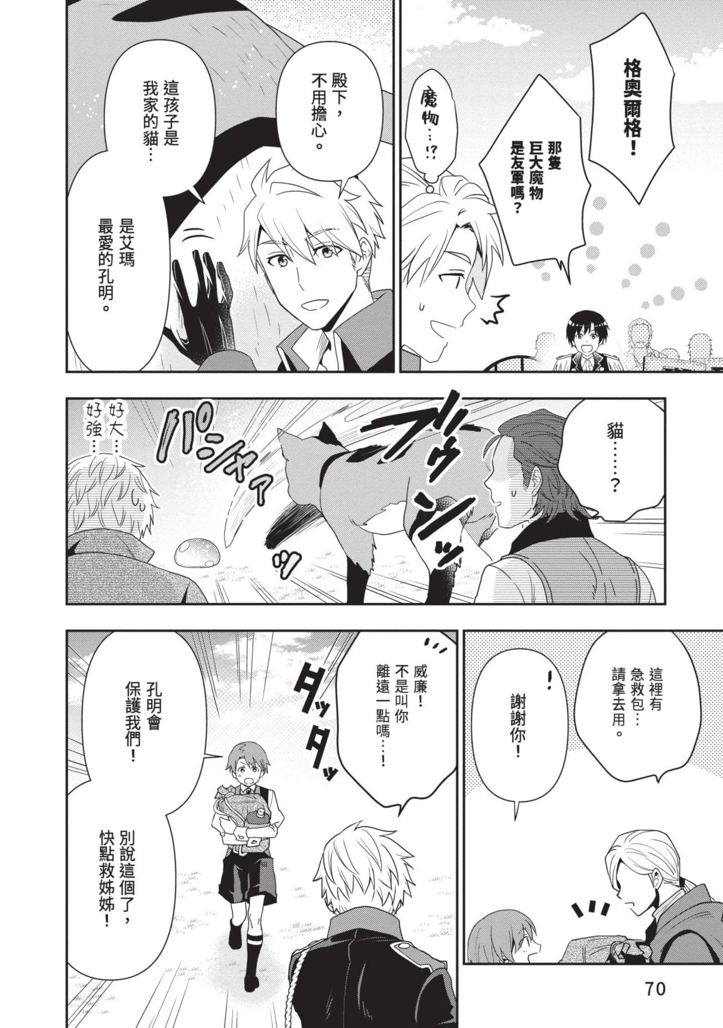 第 71 页