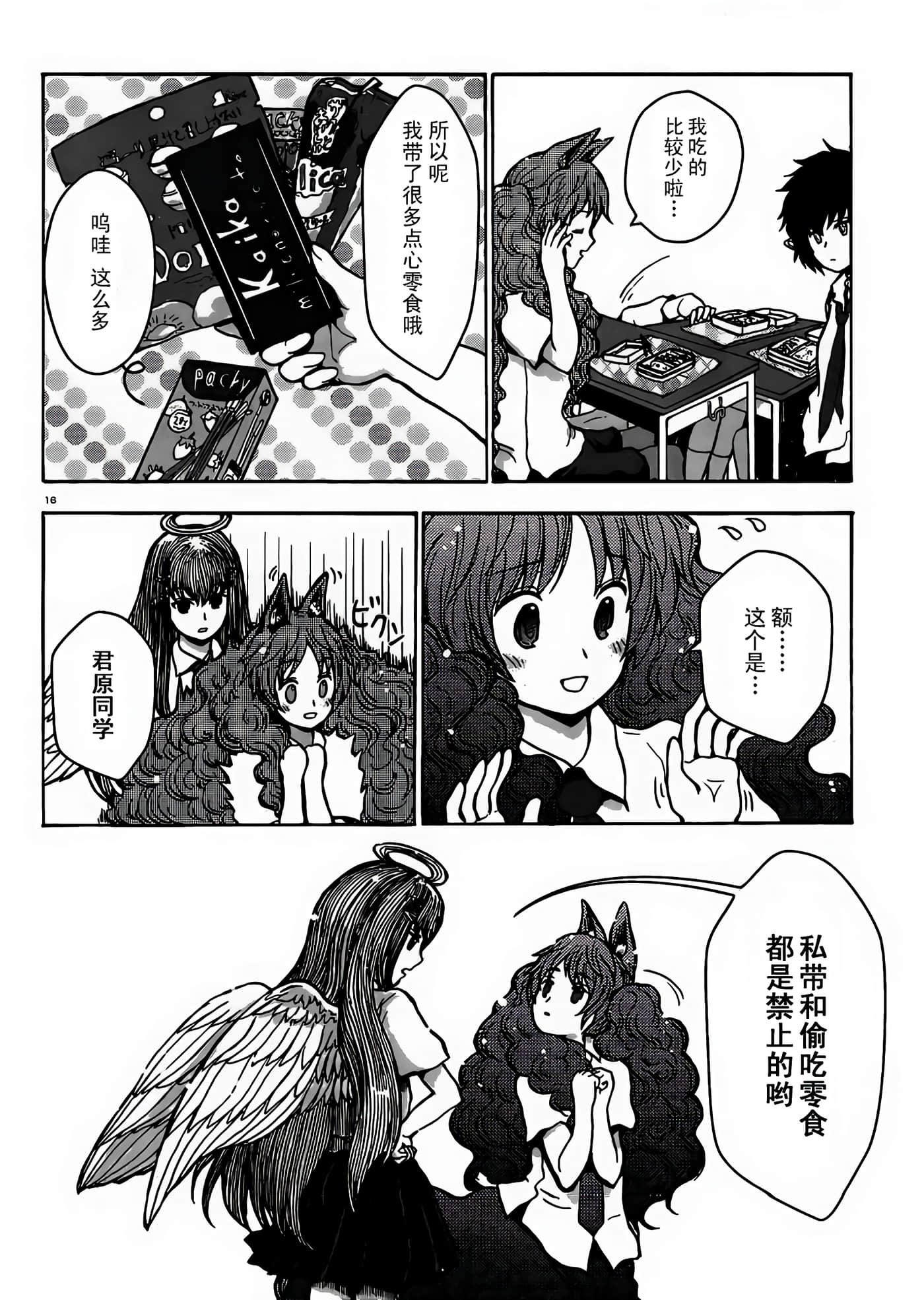 第 4 卷 第 16 页