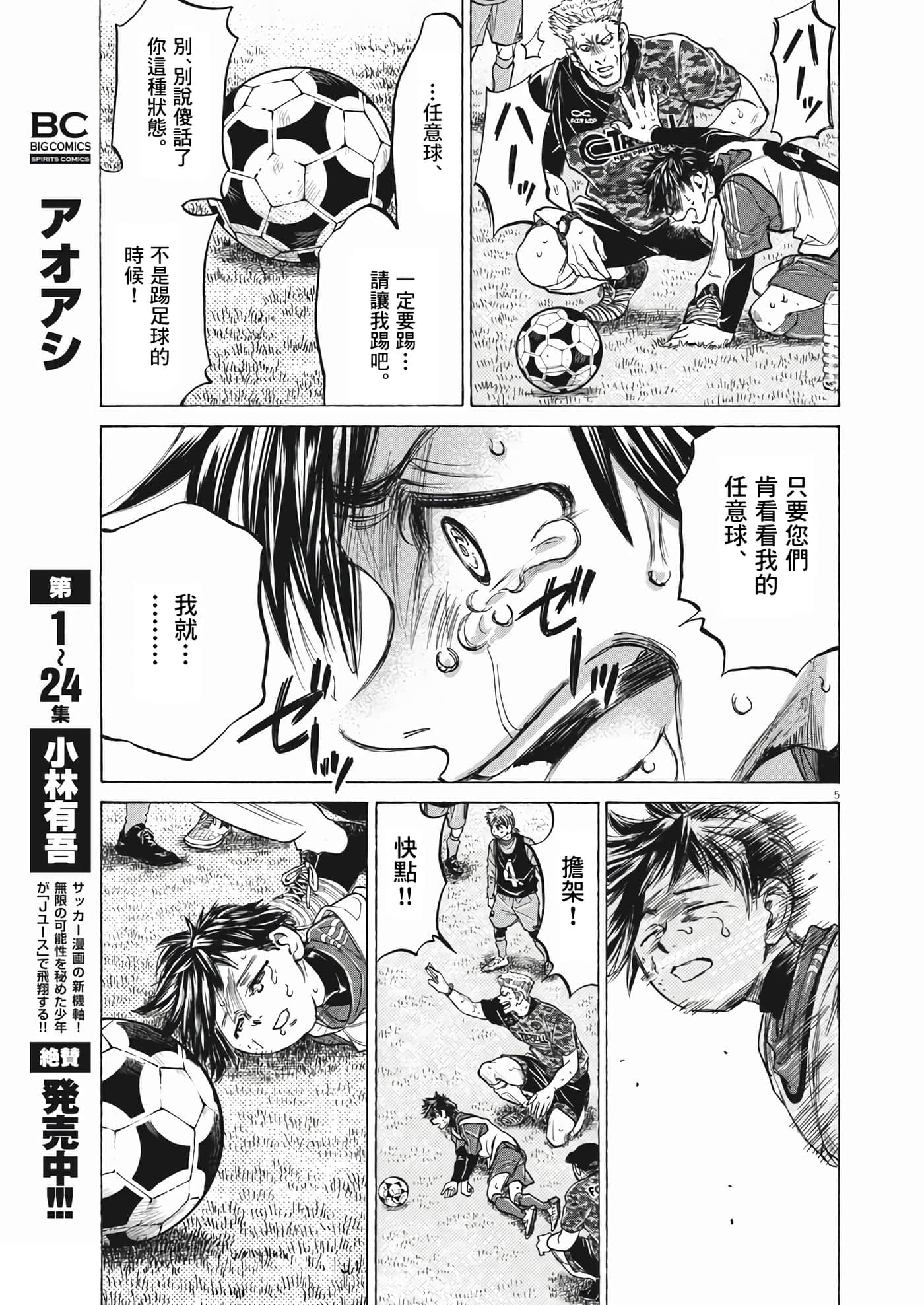 第 5 页