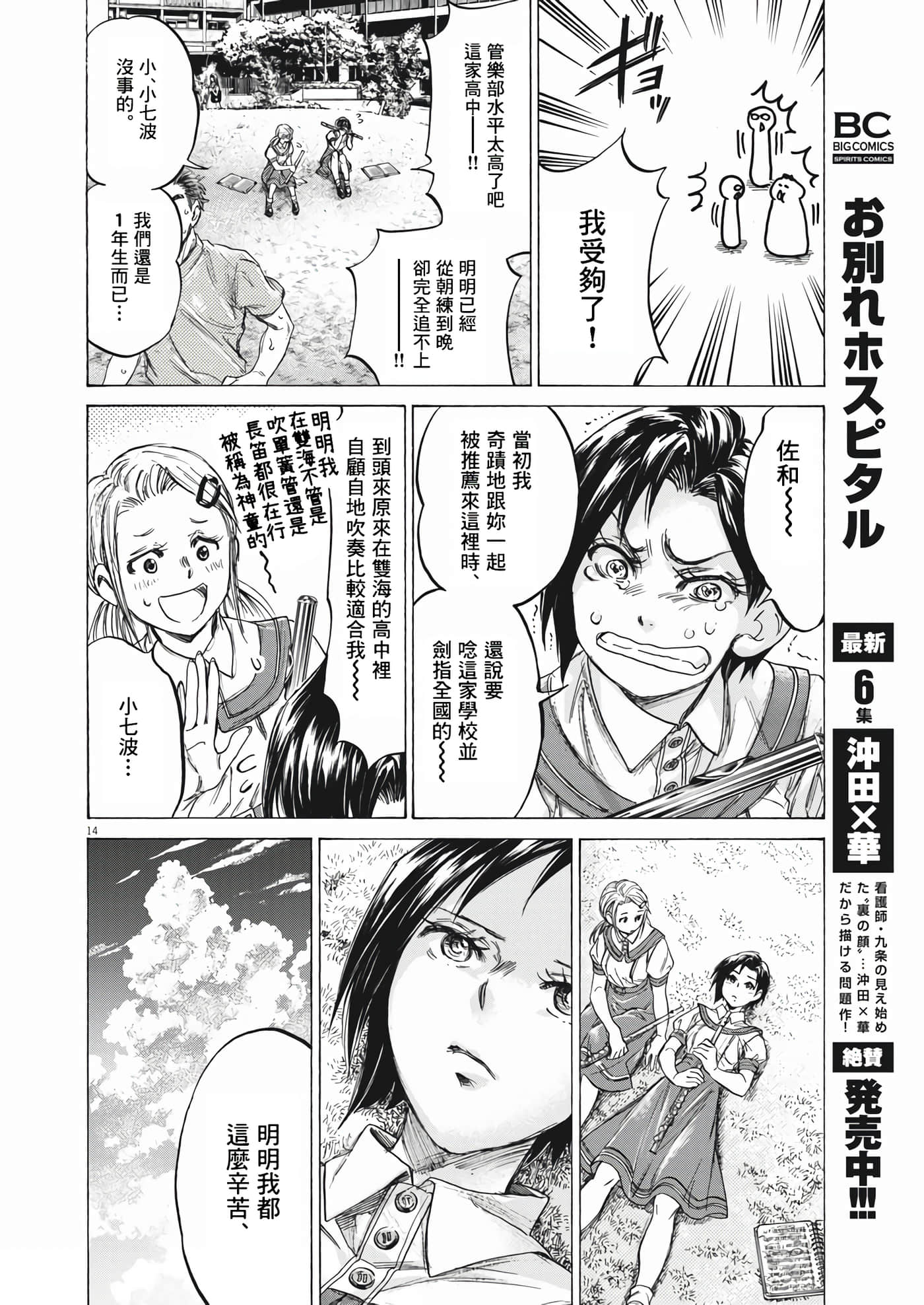 第 14 页