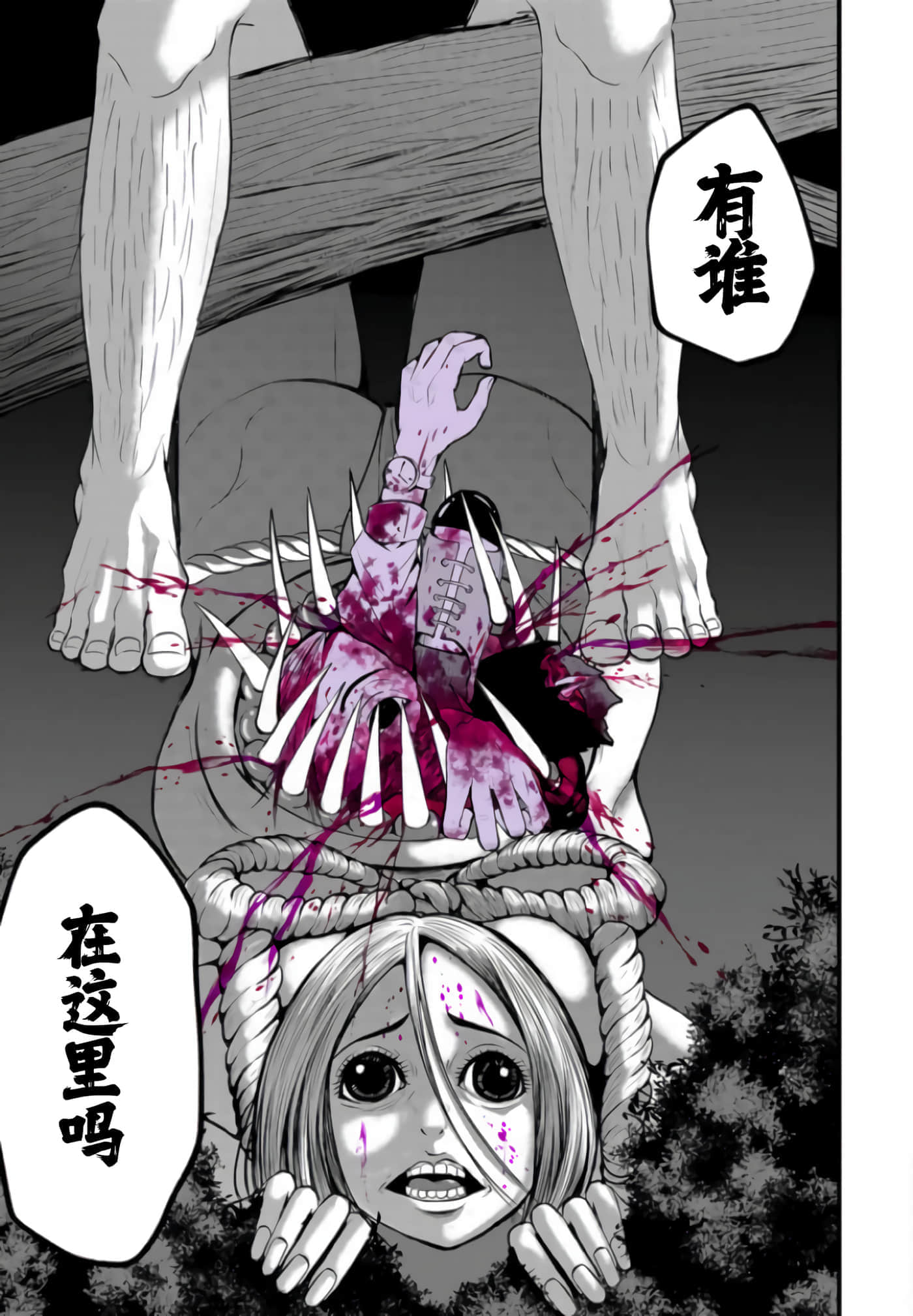 第 2 卷 第 14 页