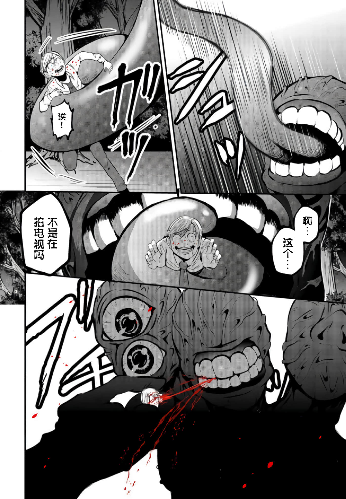 第 4 卷 第 4 页