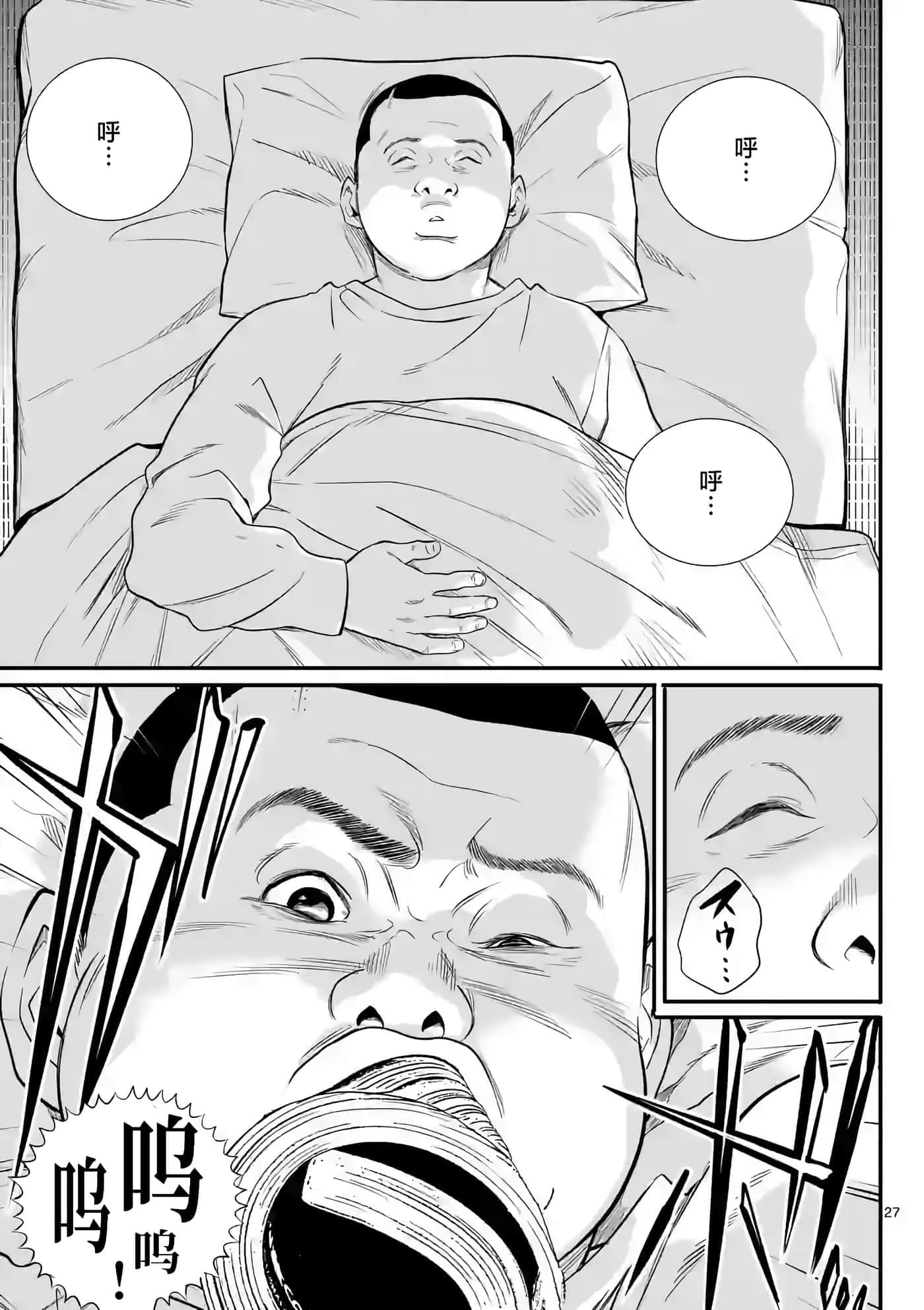 第 27 页