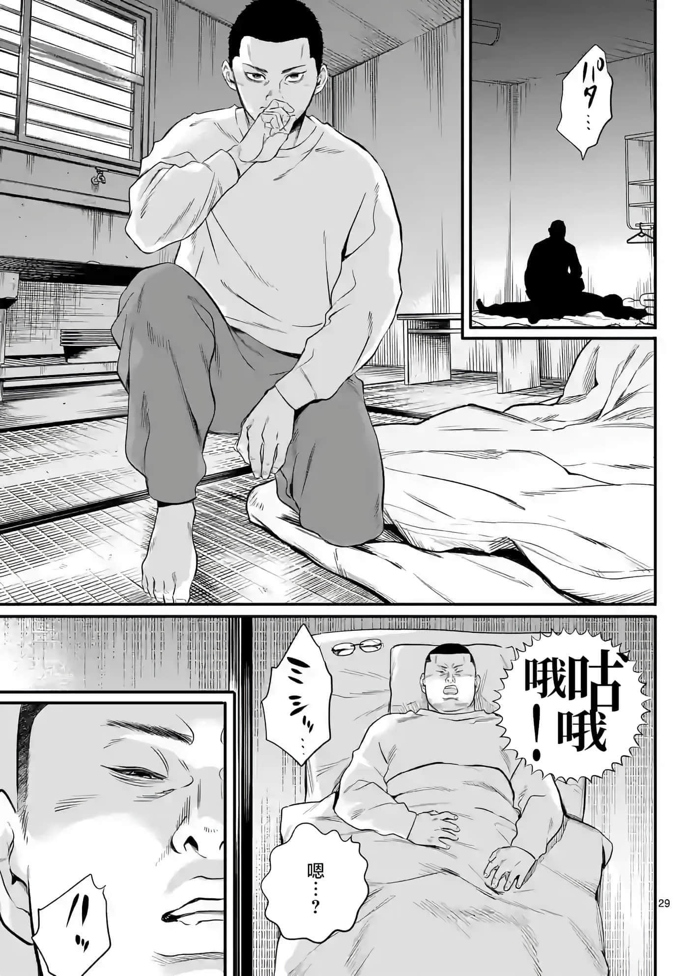 第 29 页