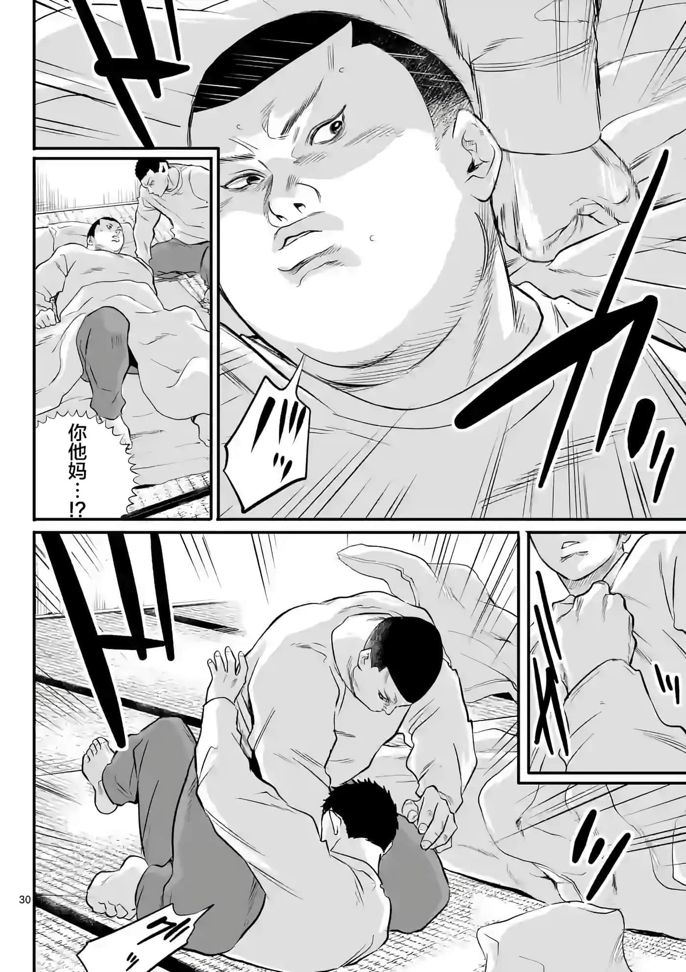 第 30 页