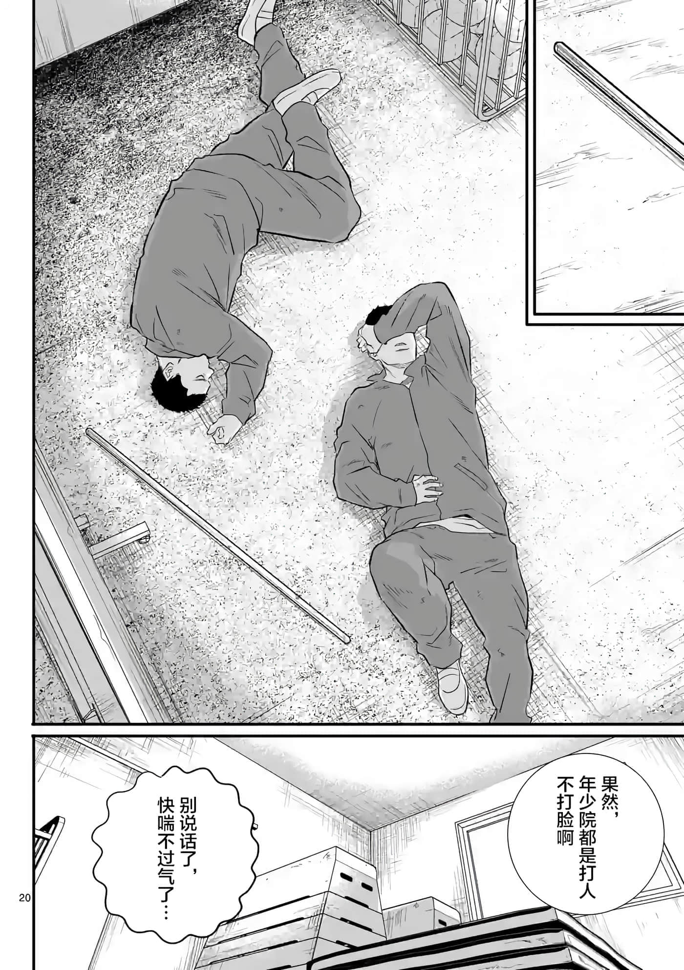 第 20 页