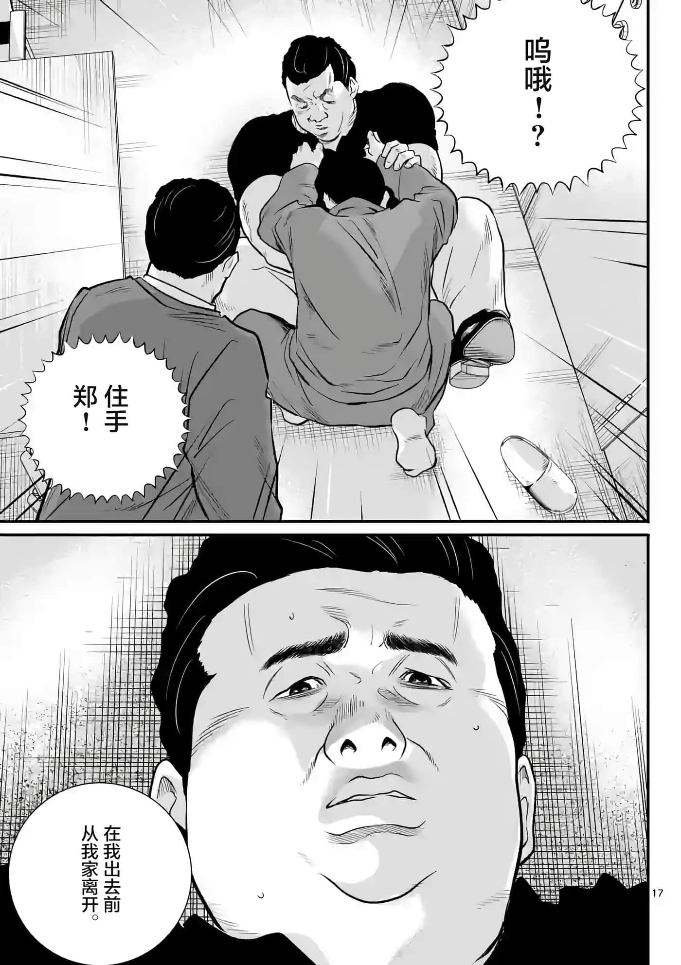 第 17 页