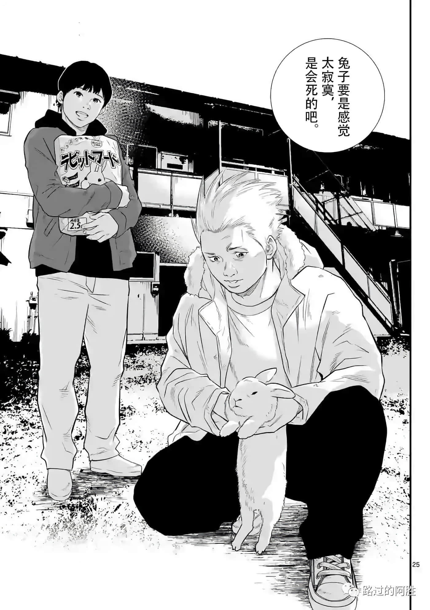 第 25 页