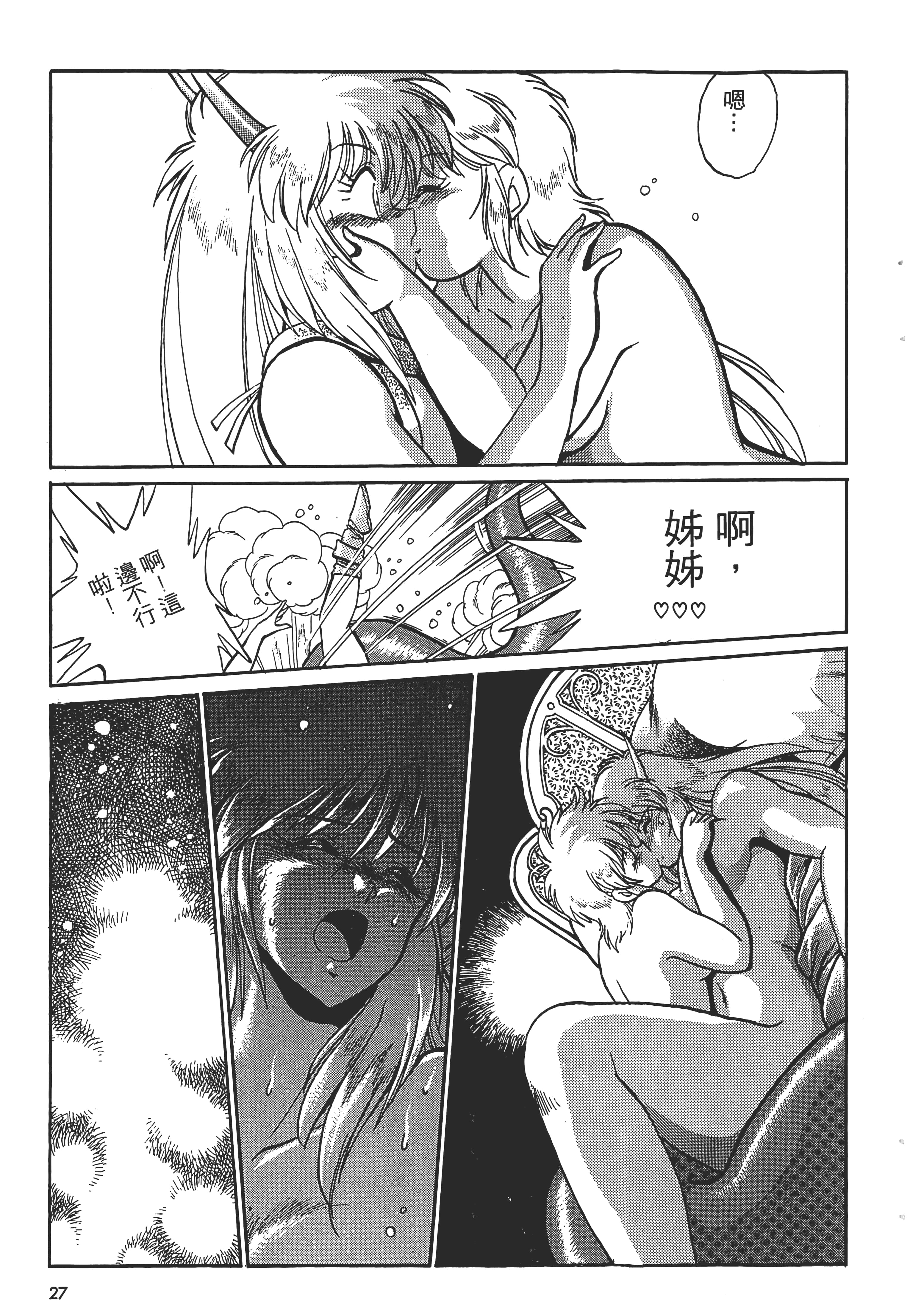 第 29 页