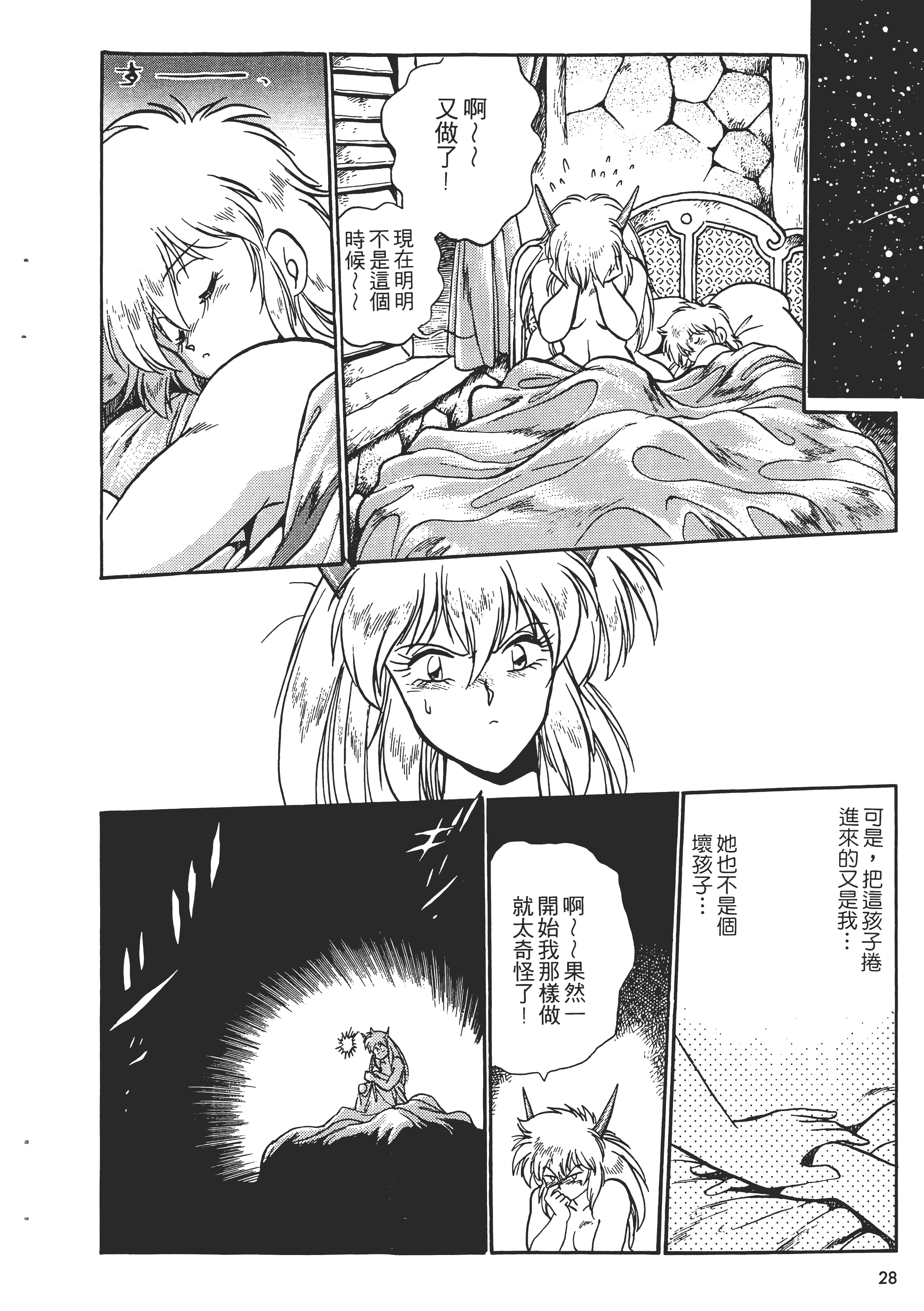 第 30 页