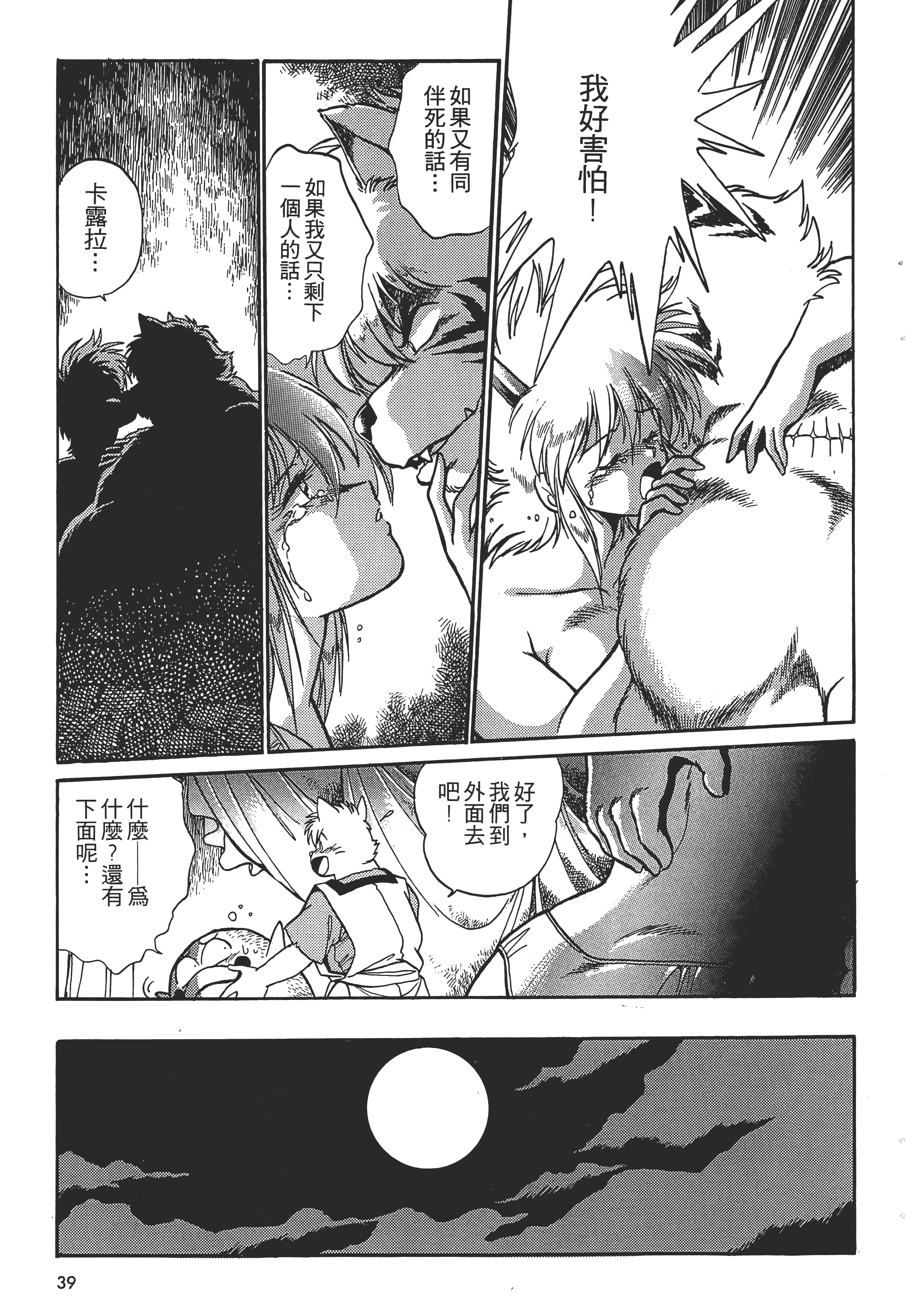 第 41 页