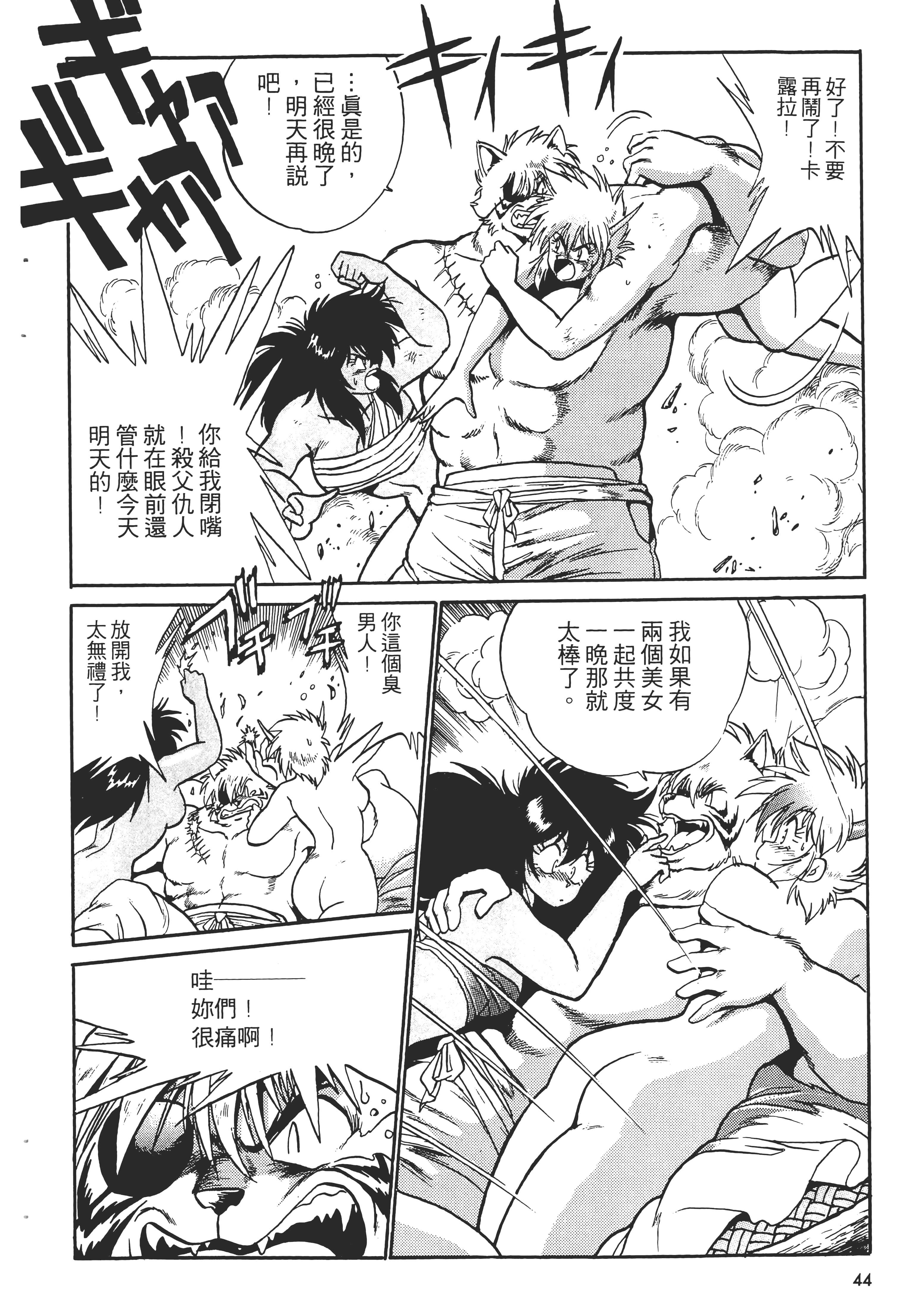 第 46 页