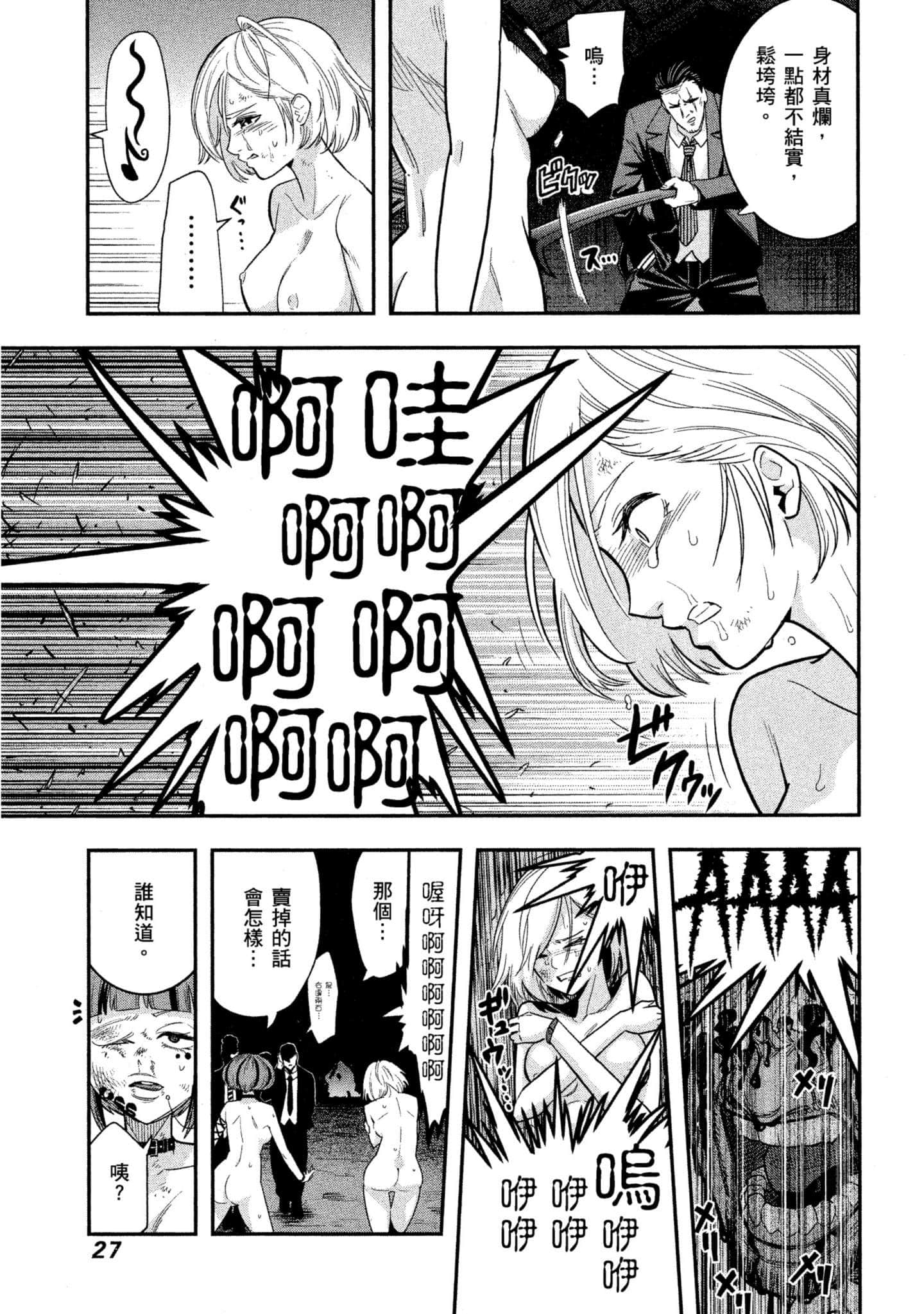 第 28 页