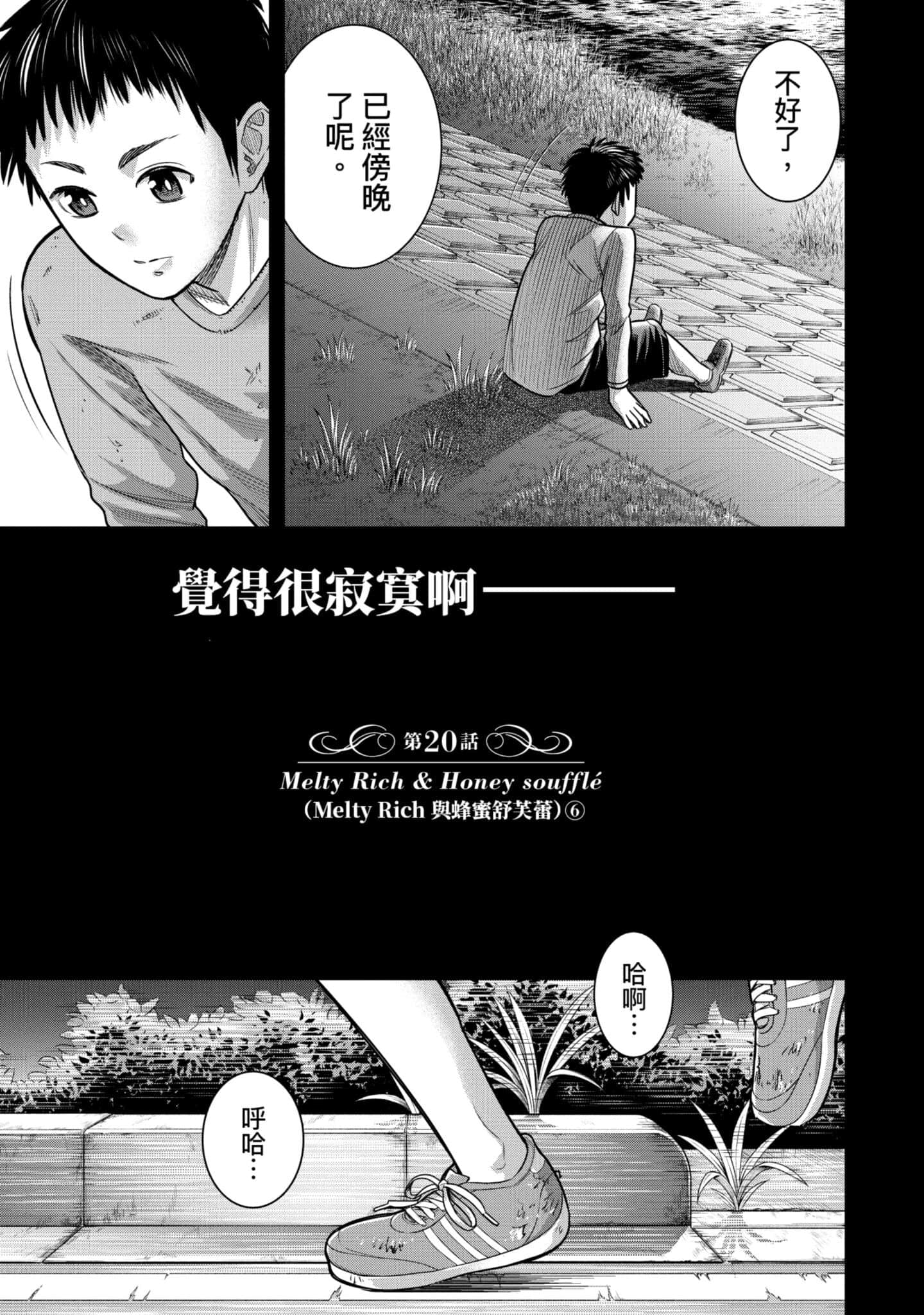 第 20 页