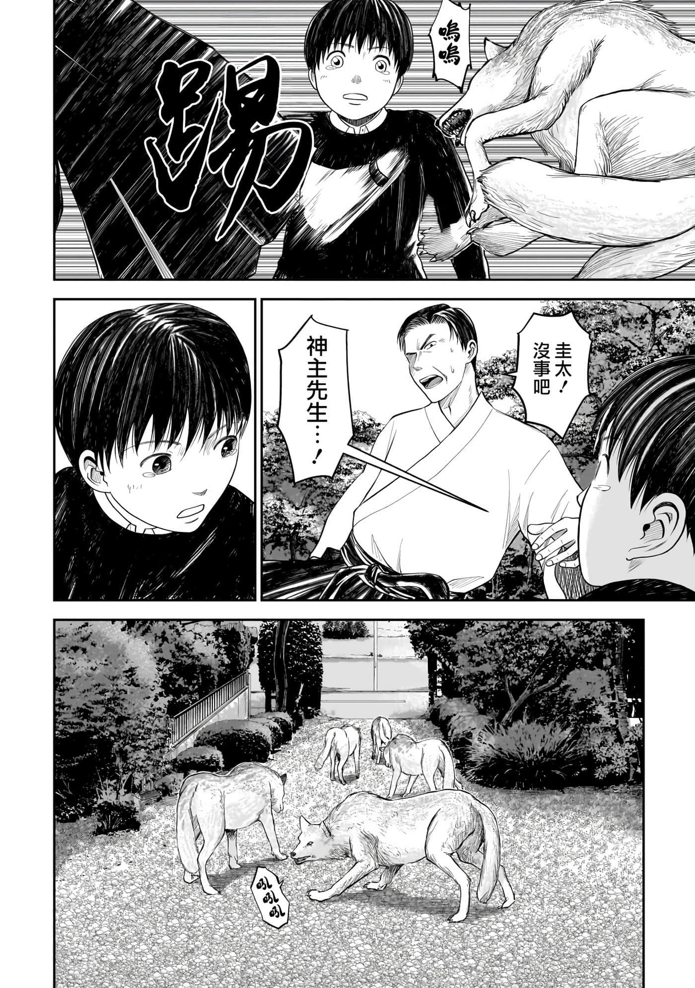 第 4 卷 第 23 页