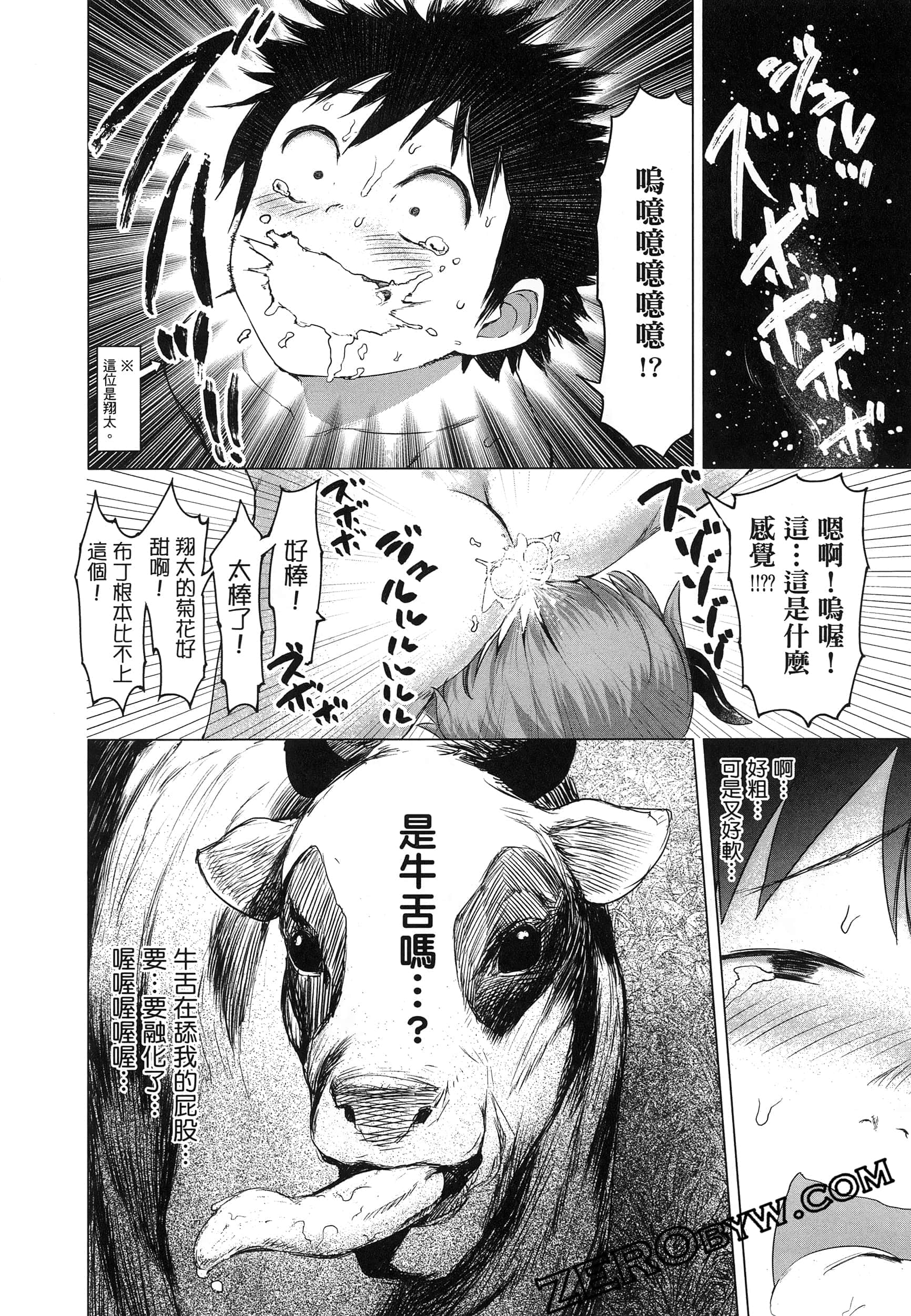 第 50 页