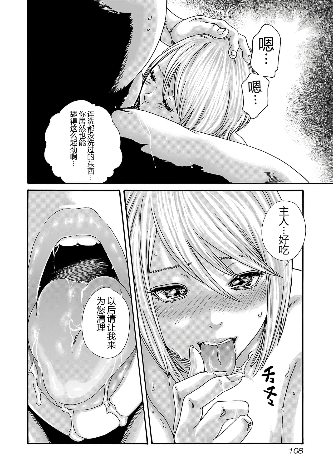 第 17 卷 第 111 页
