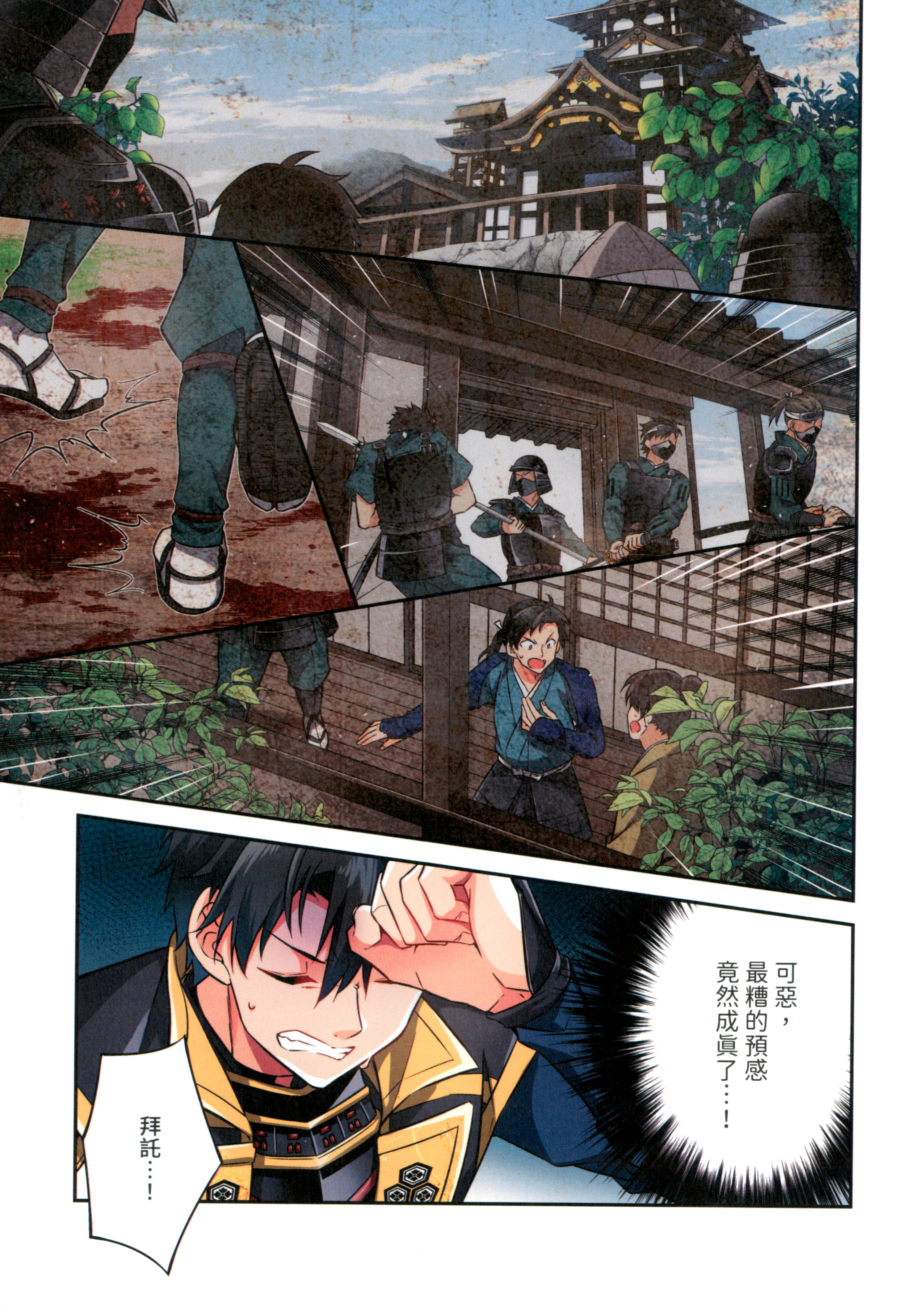 第 71 页