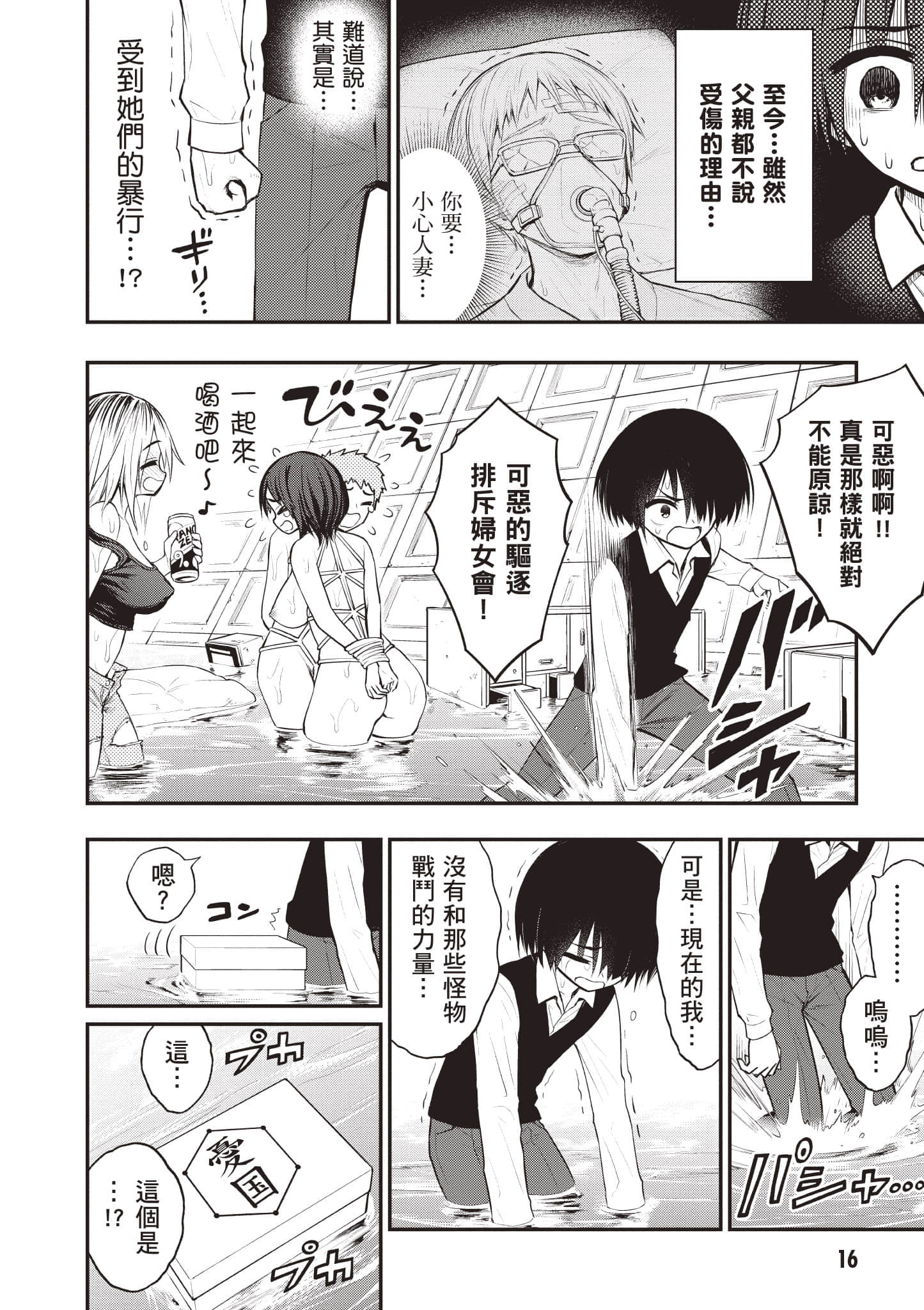 第 17 页