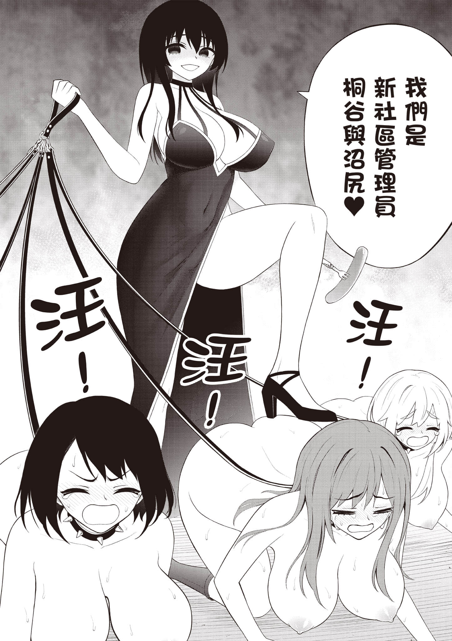 第 161 页