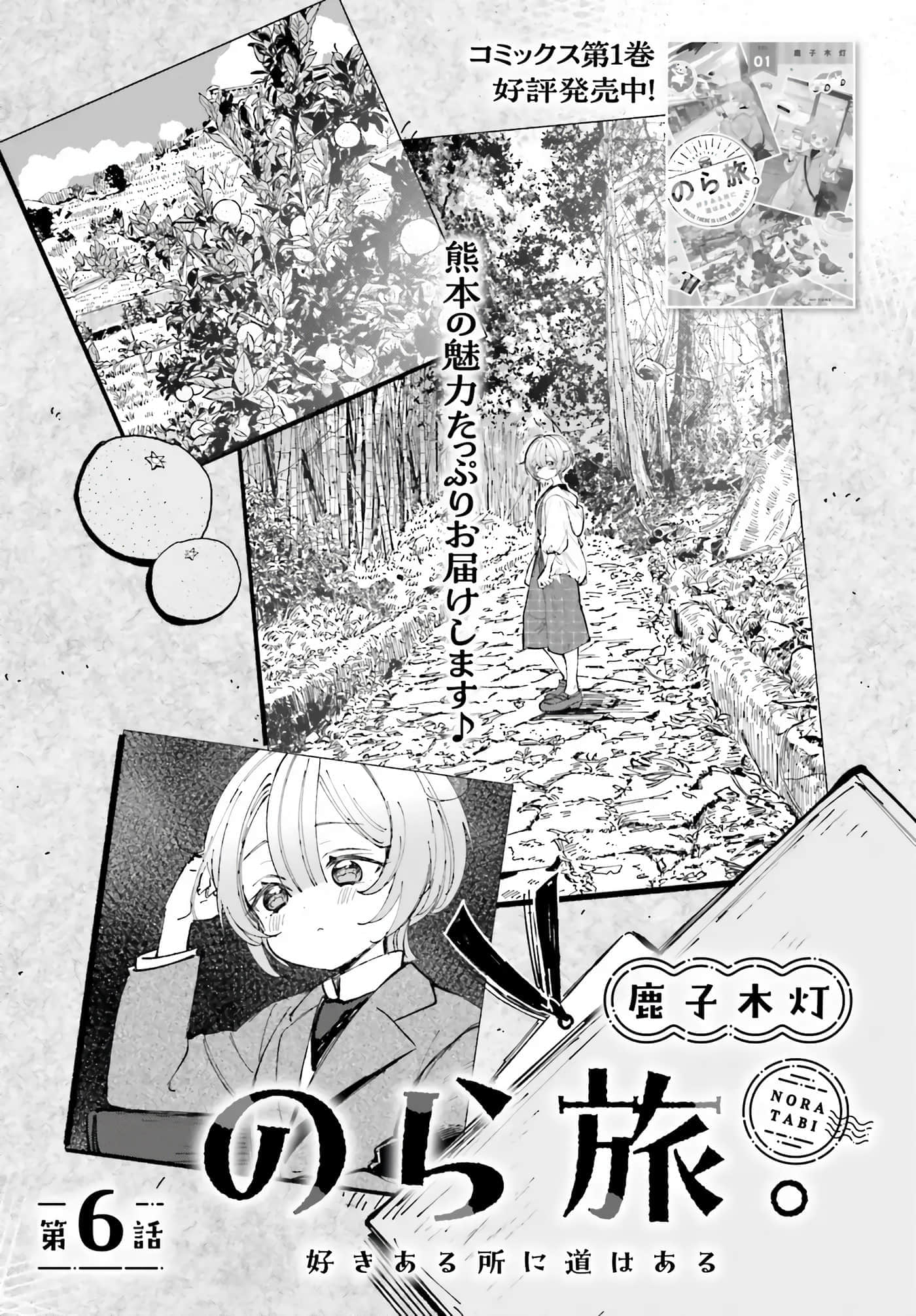 第 43 页