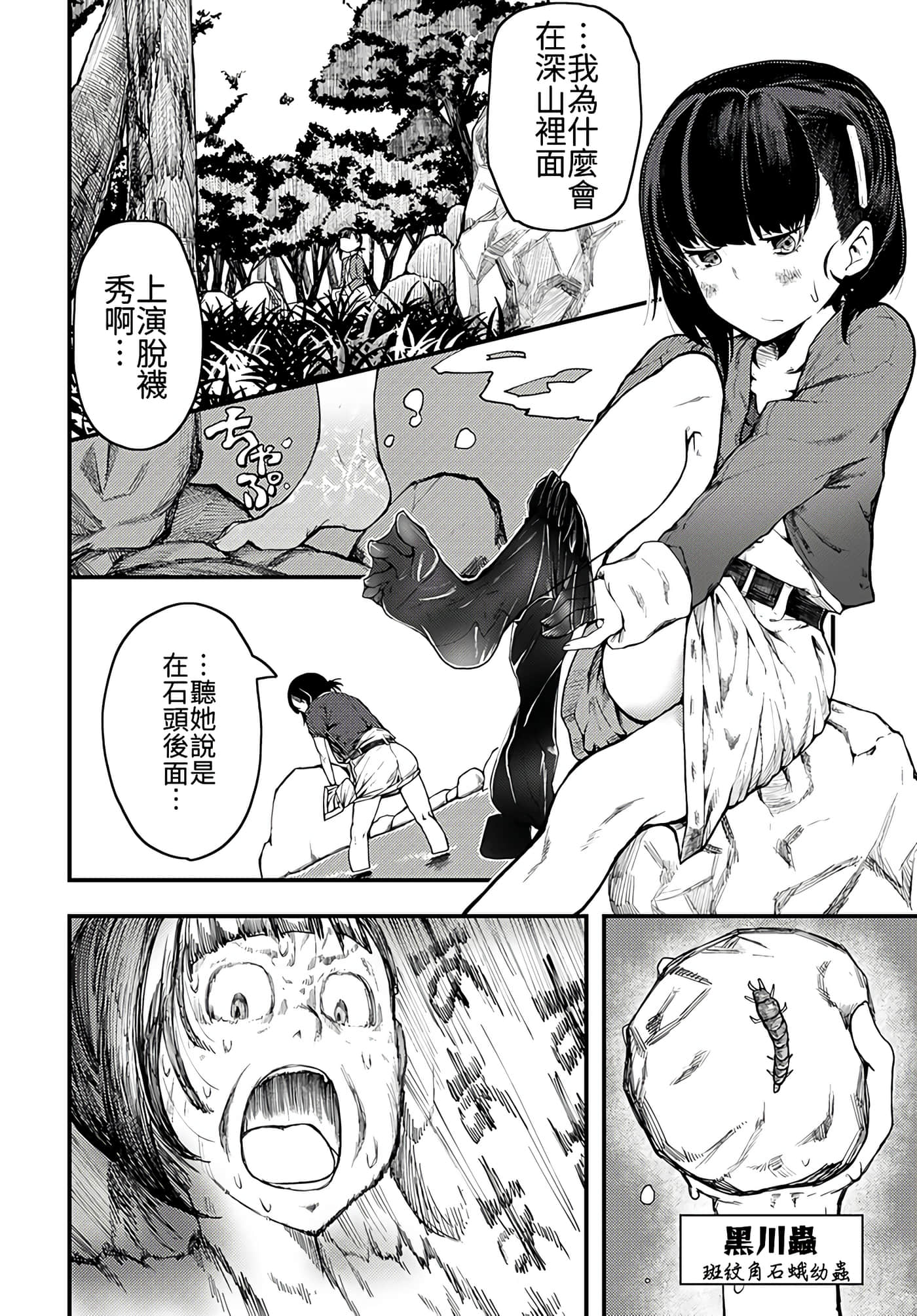 第 5 卷 第 22 页