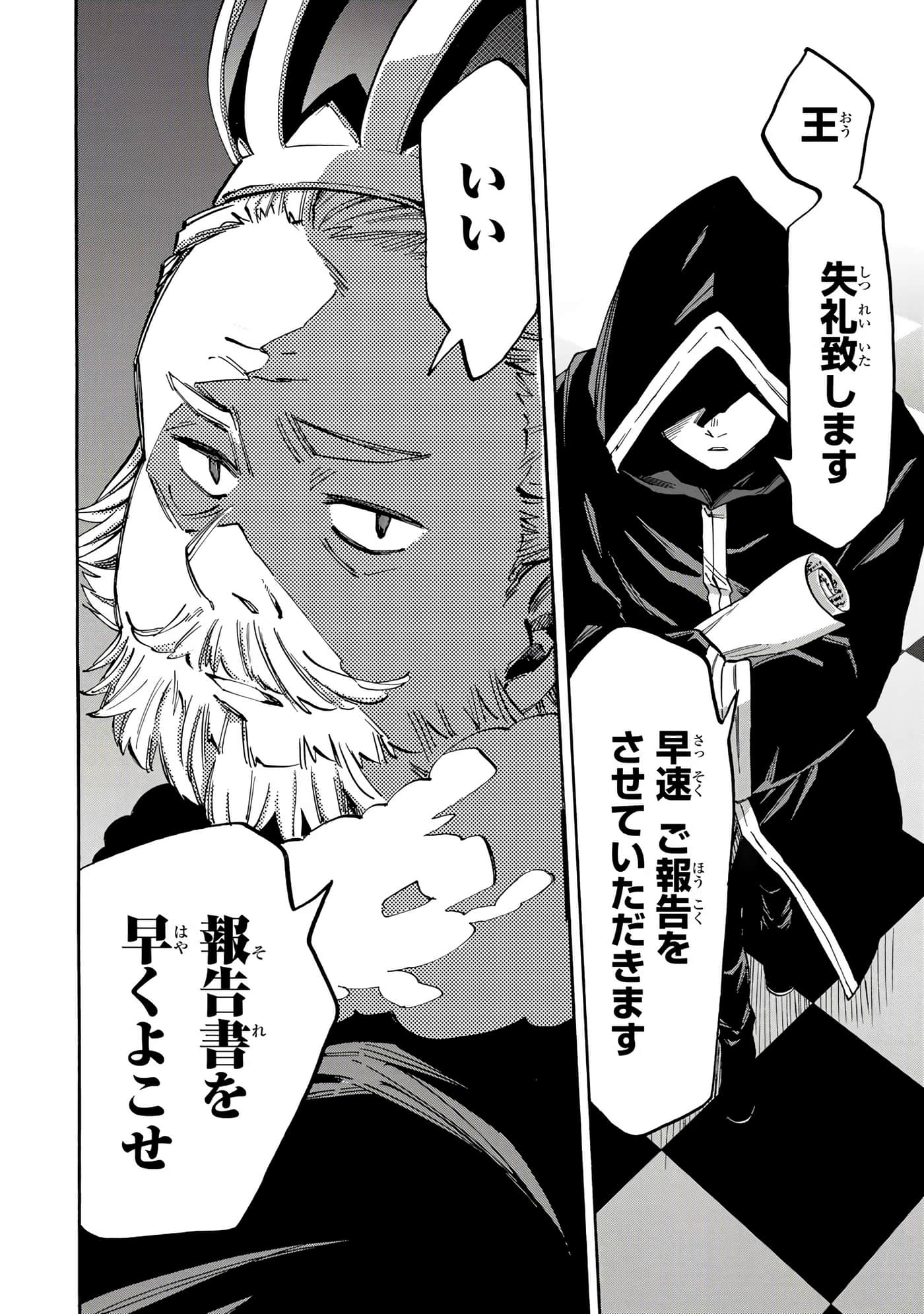 第 113 页