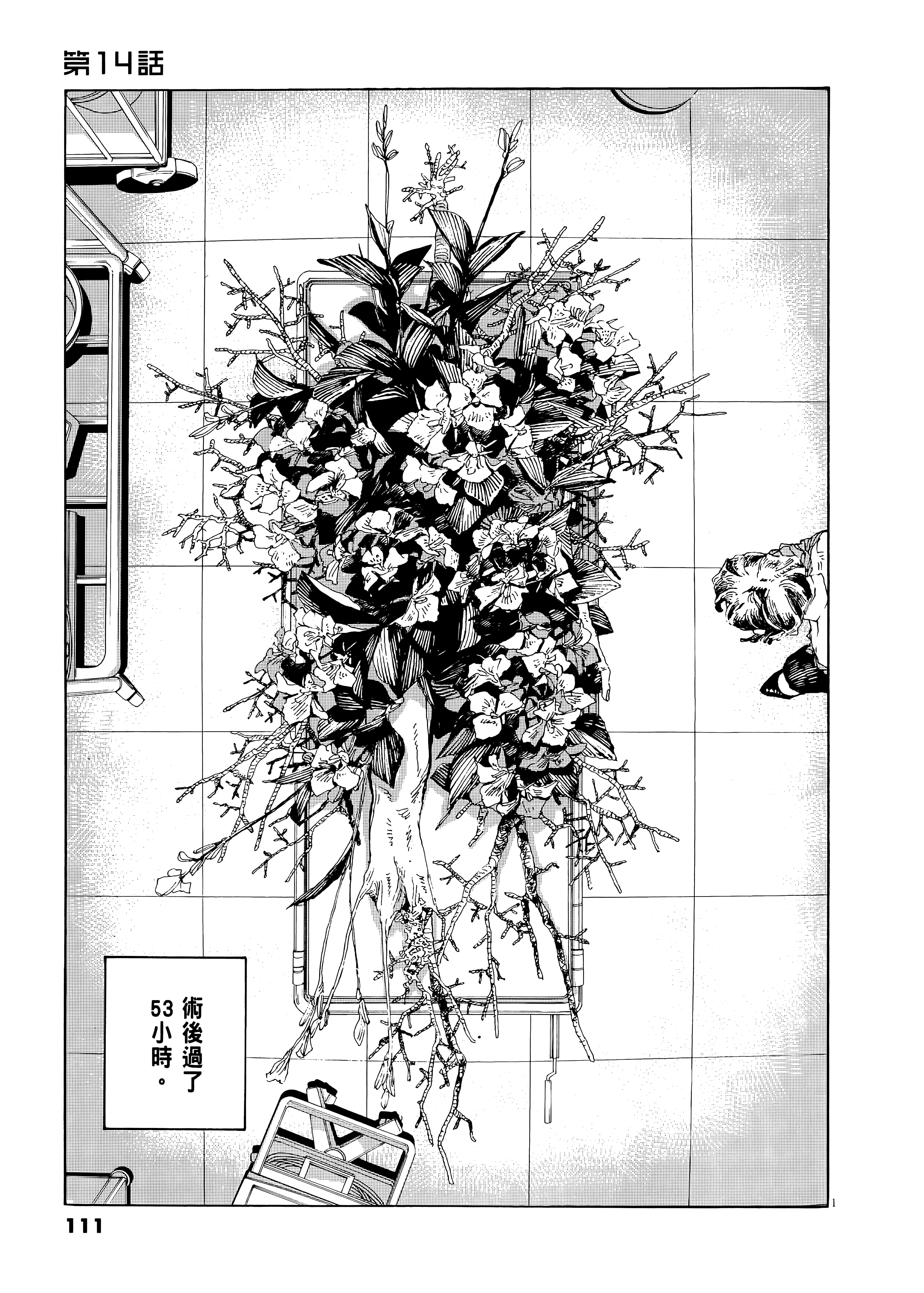 第 2 卷 第 115 页
