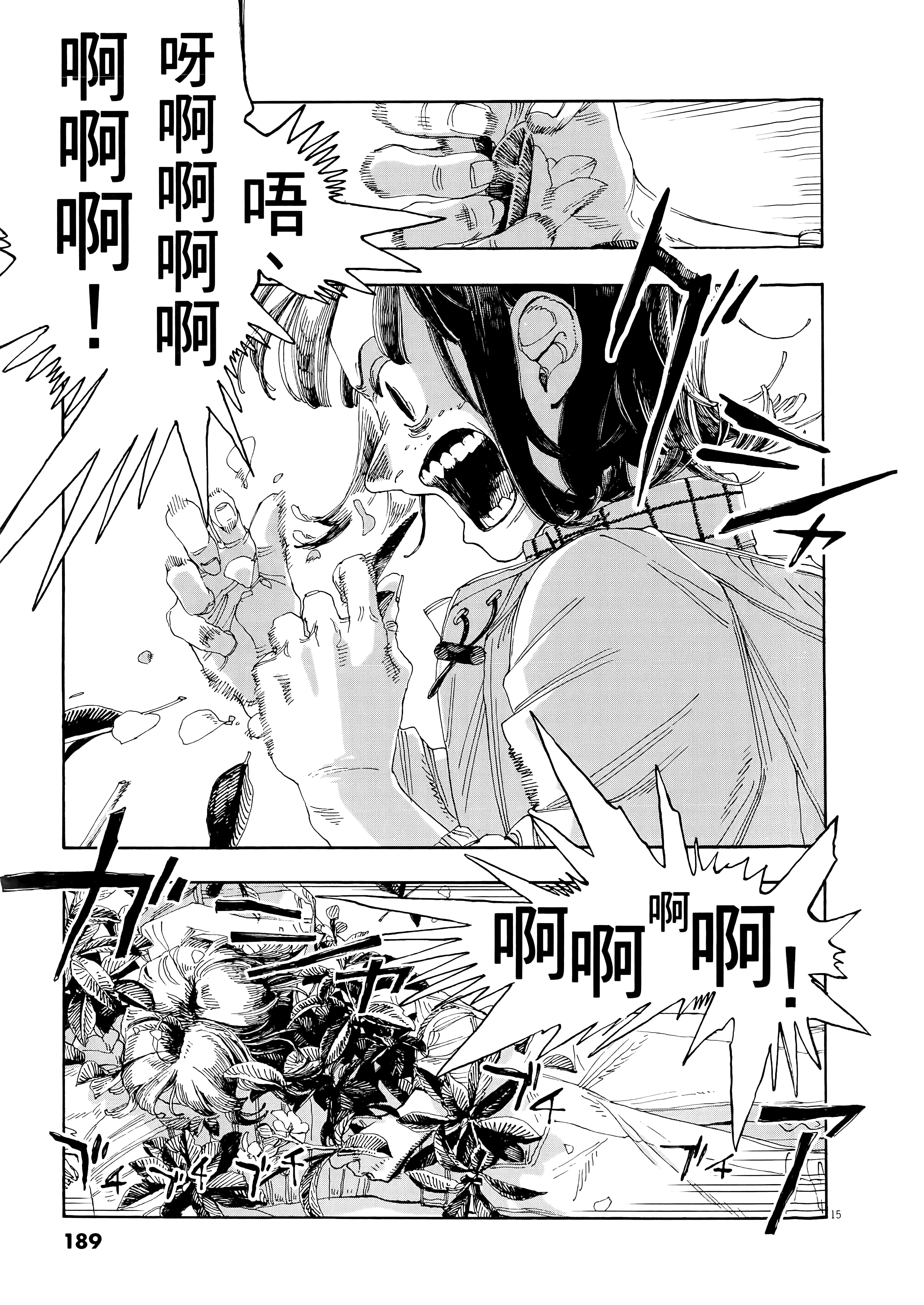 第 4 卷 第 193 页