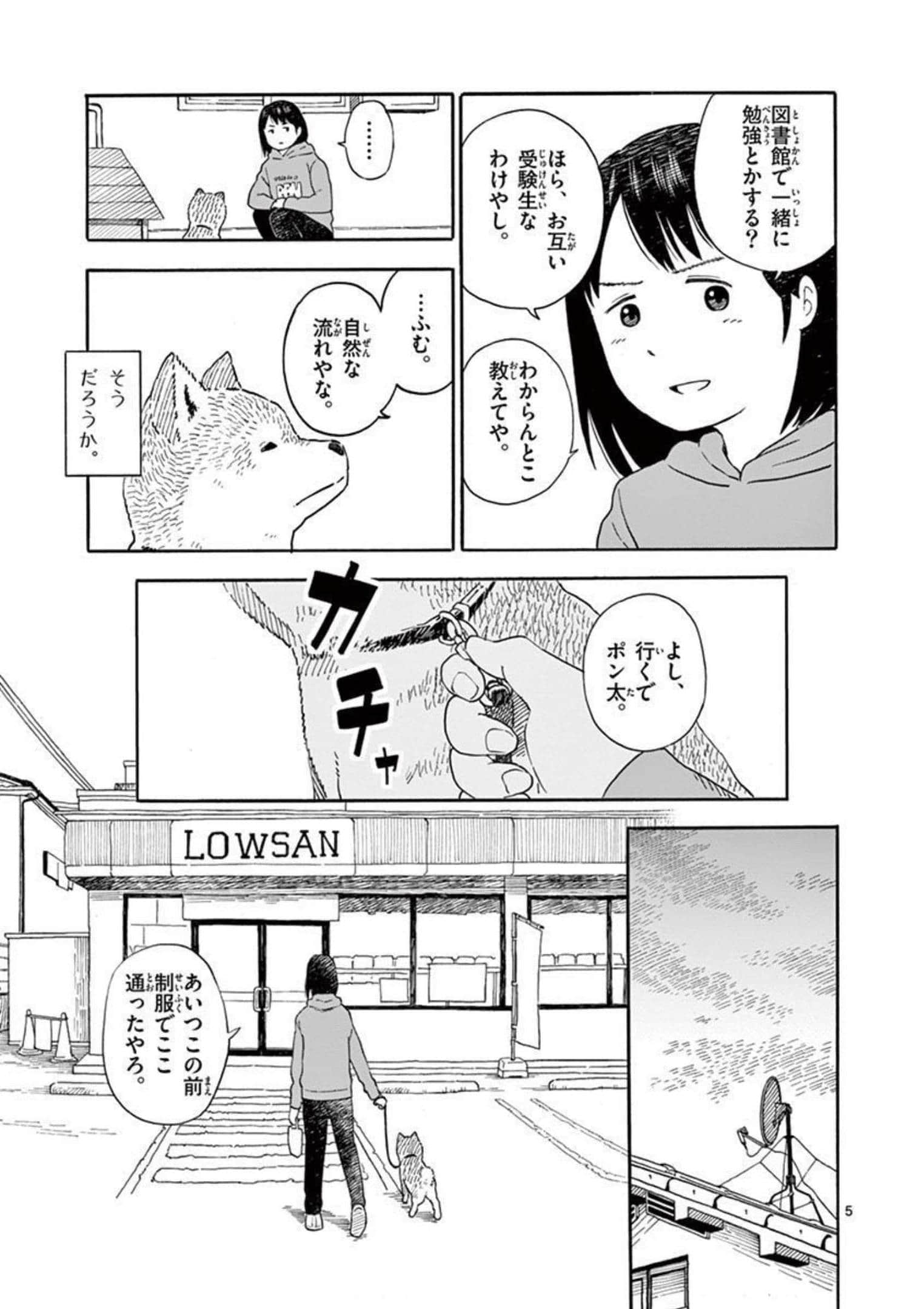 第 2.5 卷 第 8 页