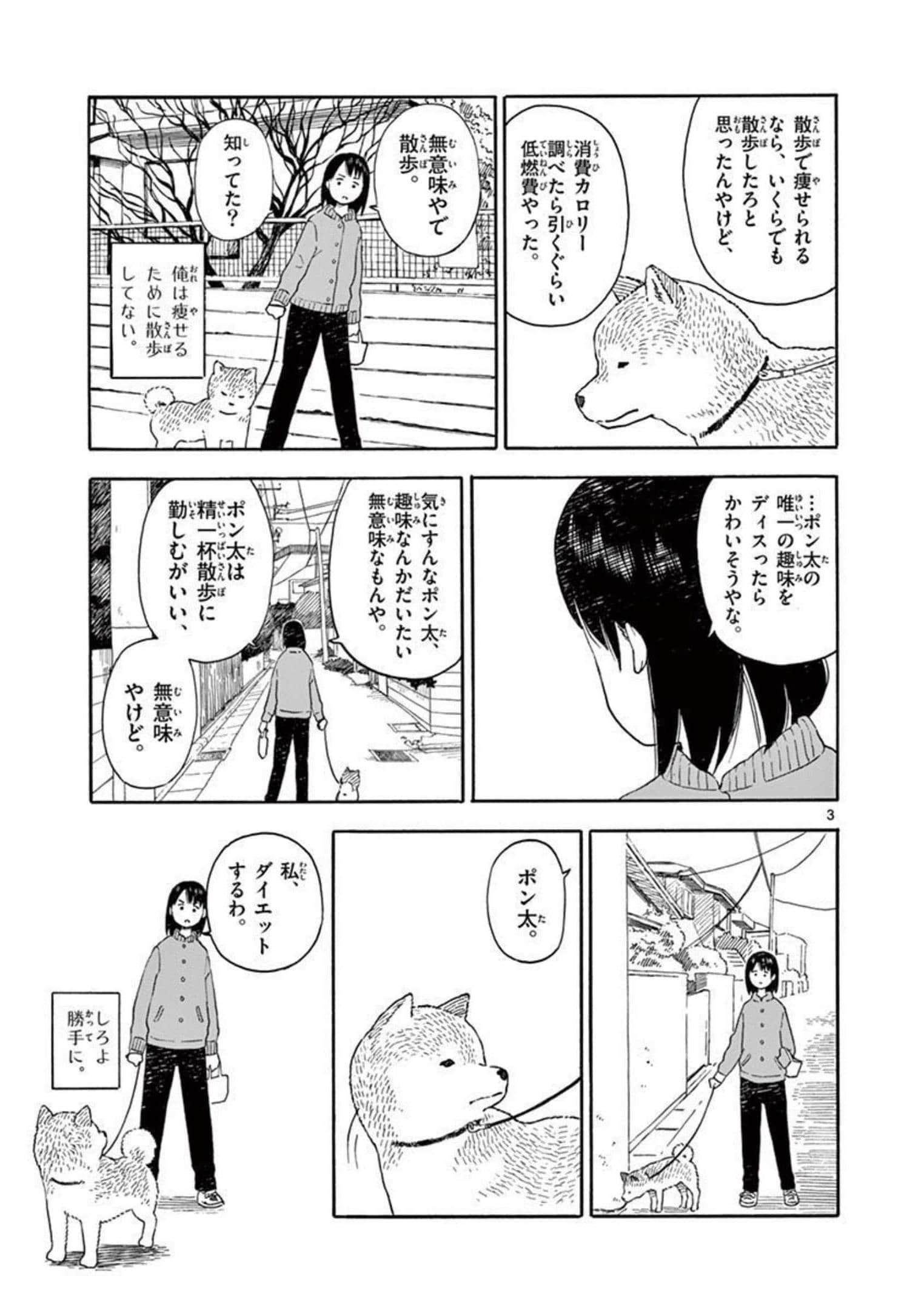 第 2.5 卷 第 28 页