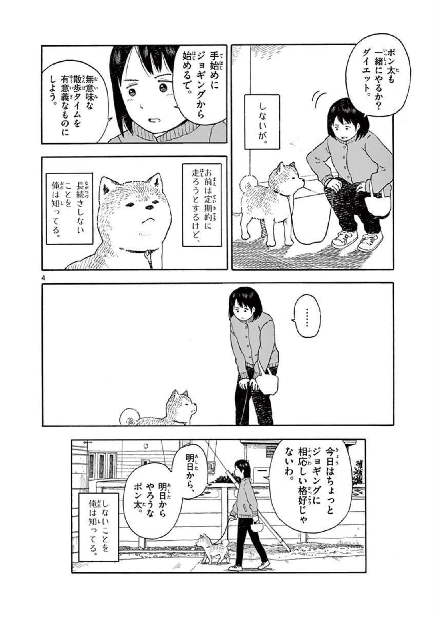 第 2.5 卷 第 29 页