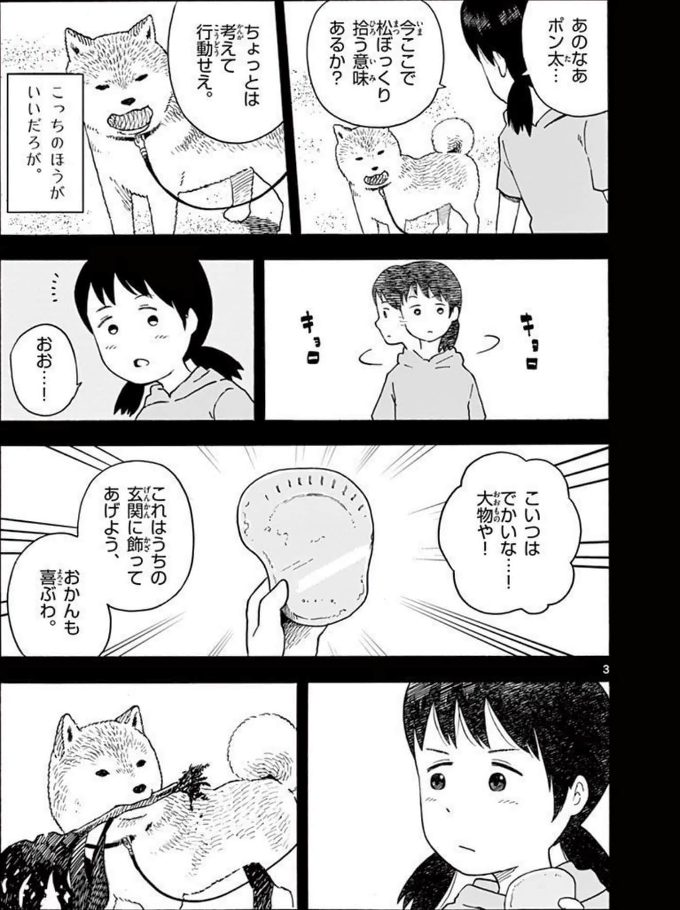 第 2.5 卷 第 46 页
