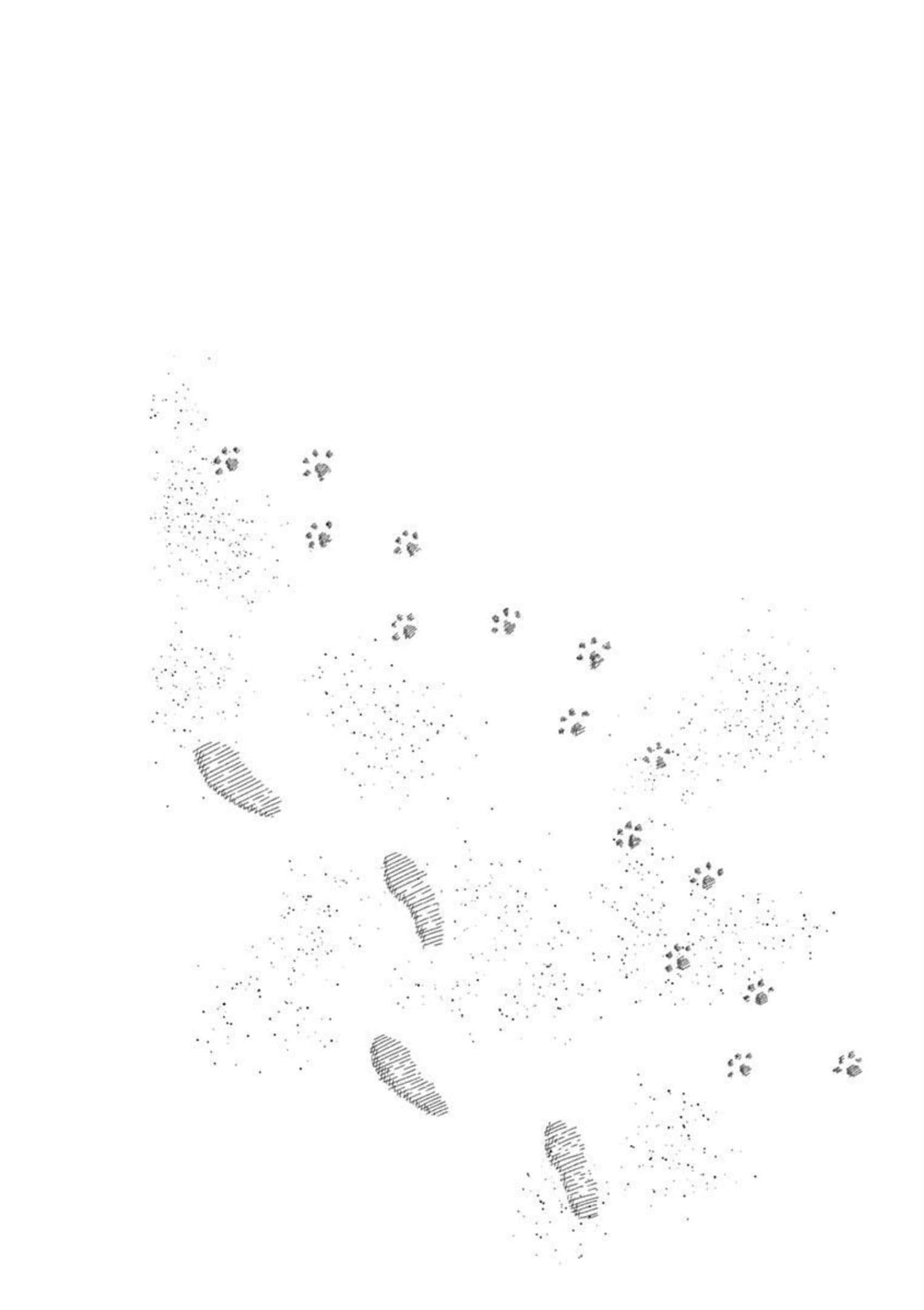 第 2.5 卷 第 51 页