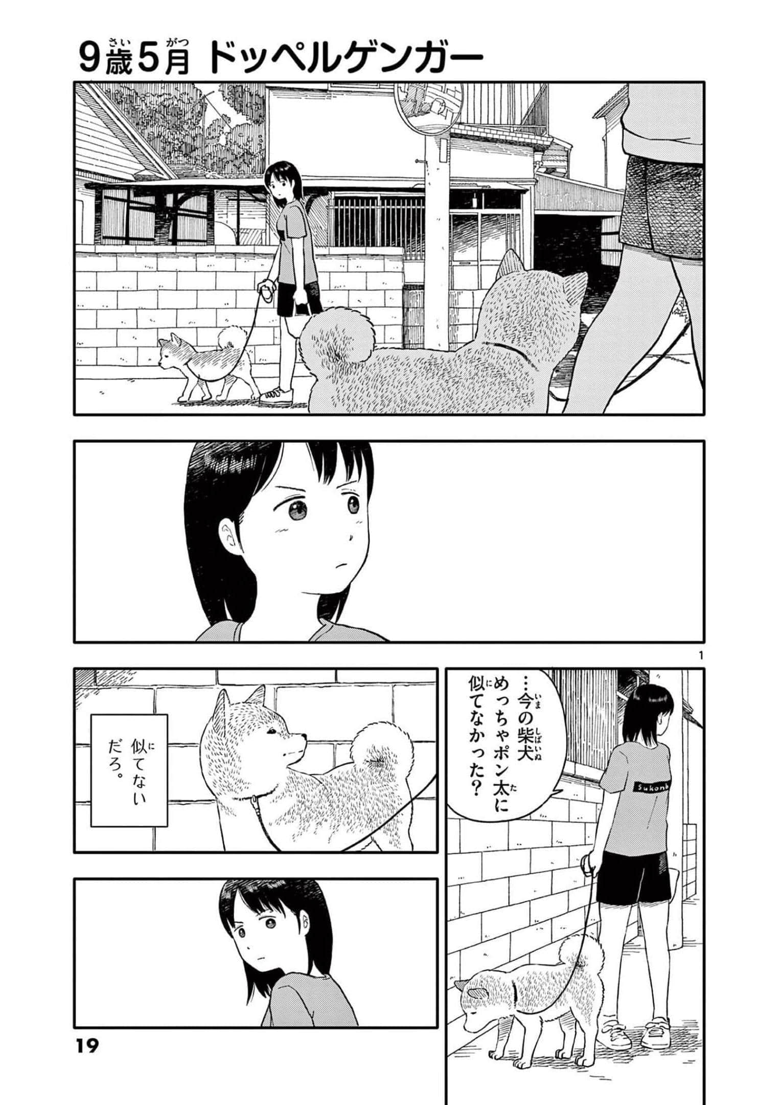 第 3 卷 第 20 页