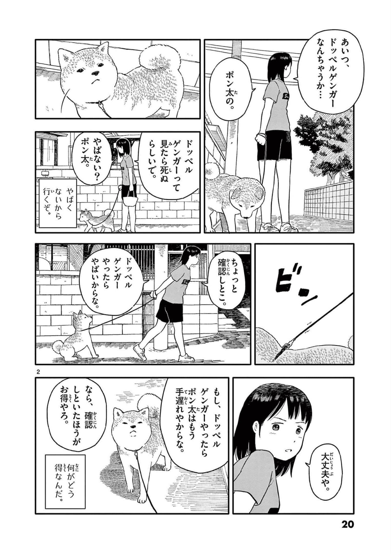 第 3 卷 第 21 页