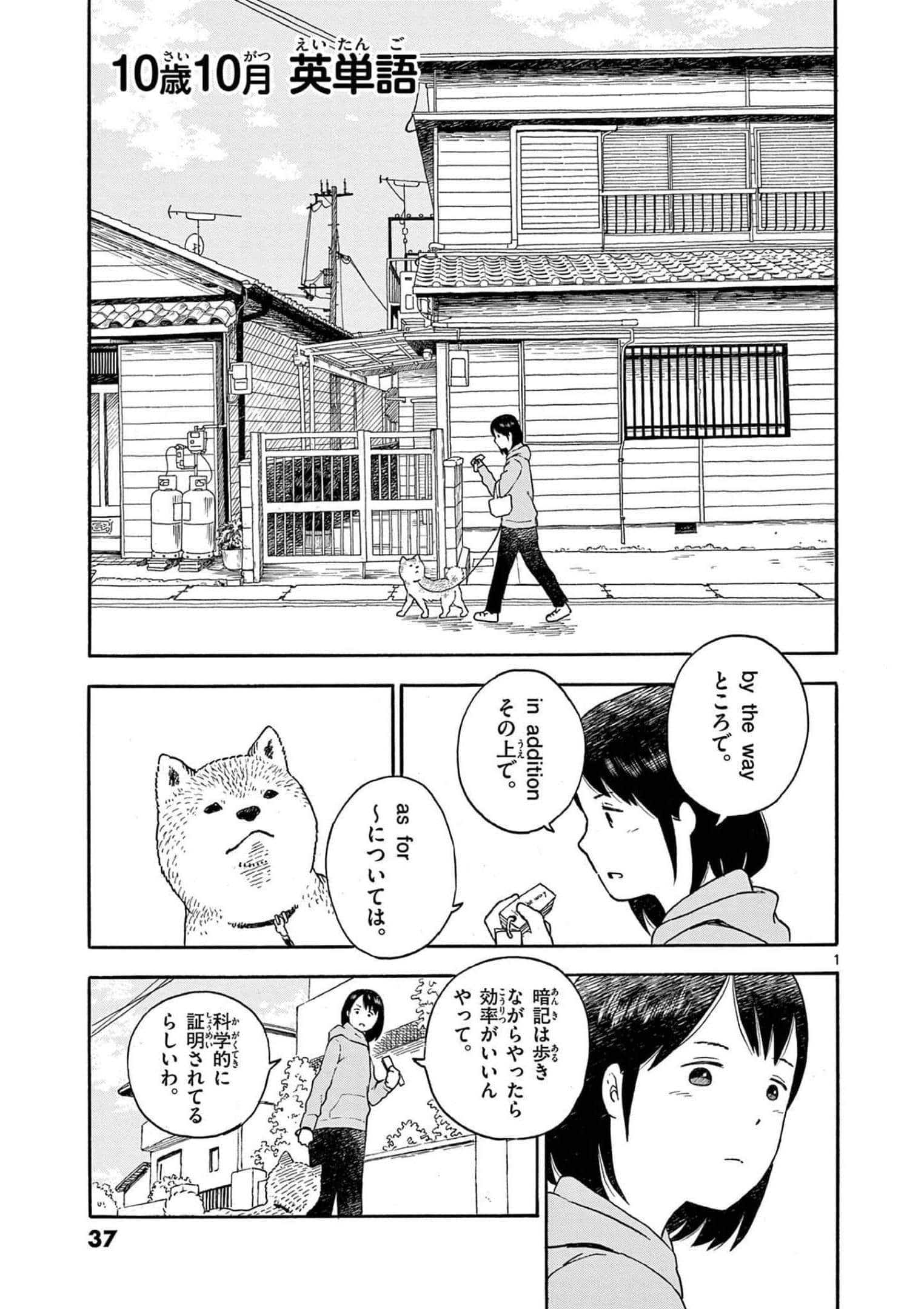第 3 卷 第 38 页