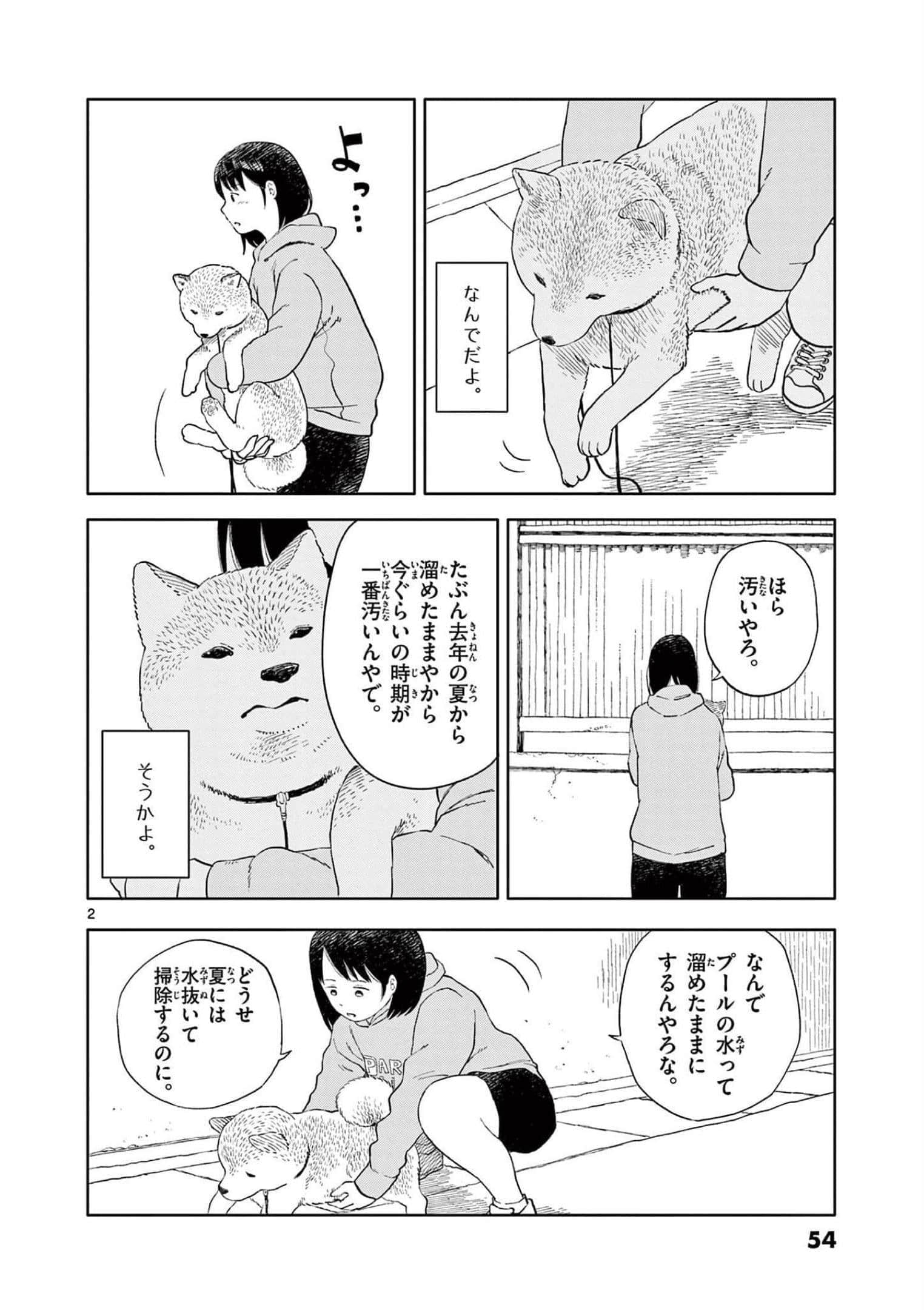 第 3 卷 第 55 页