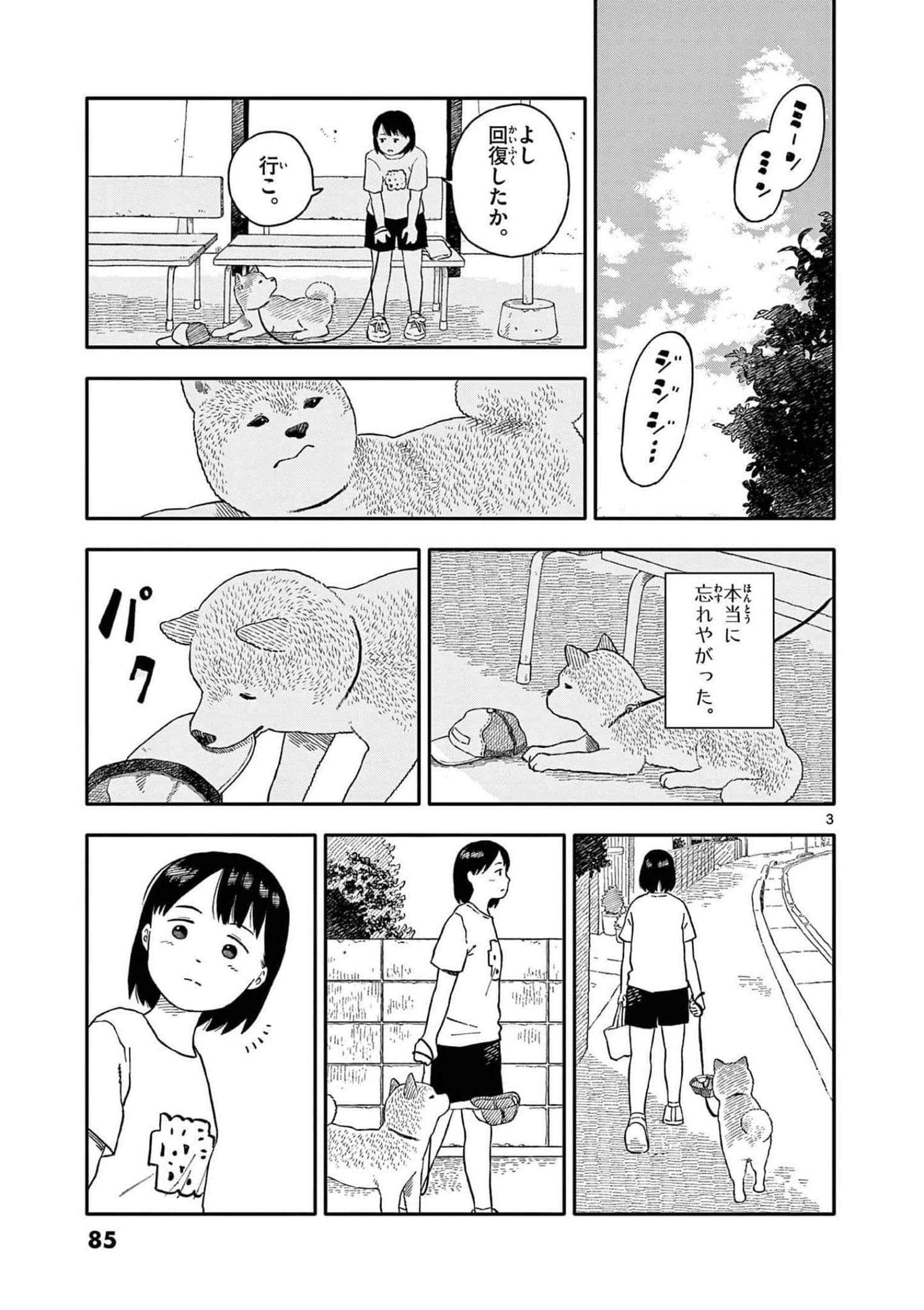 第 3 卷 第 86 页
