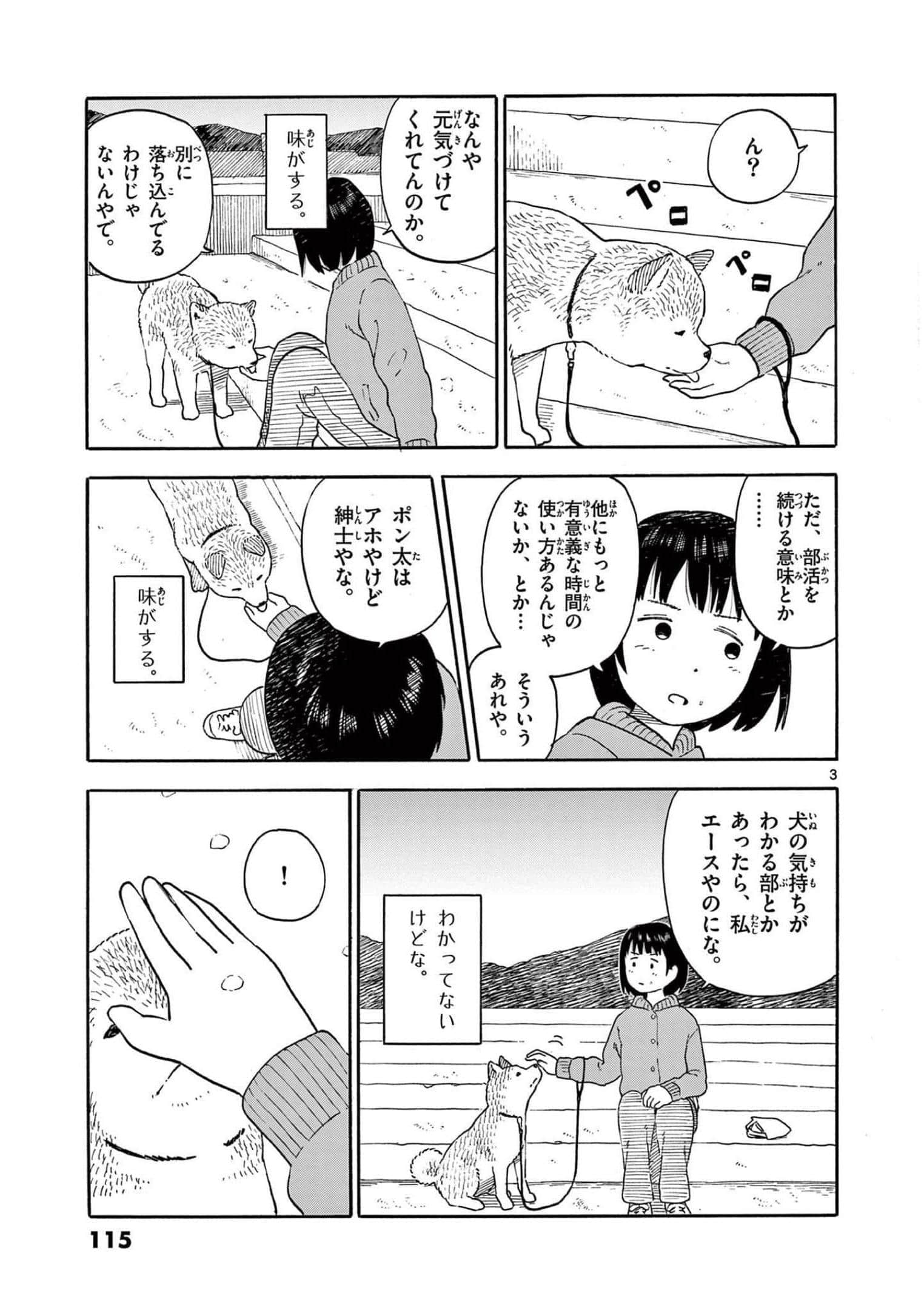 第 3 卷 第 116 页