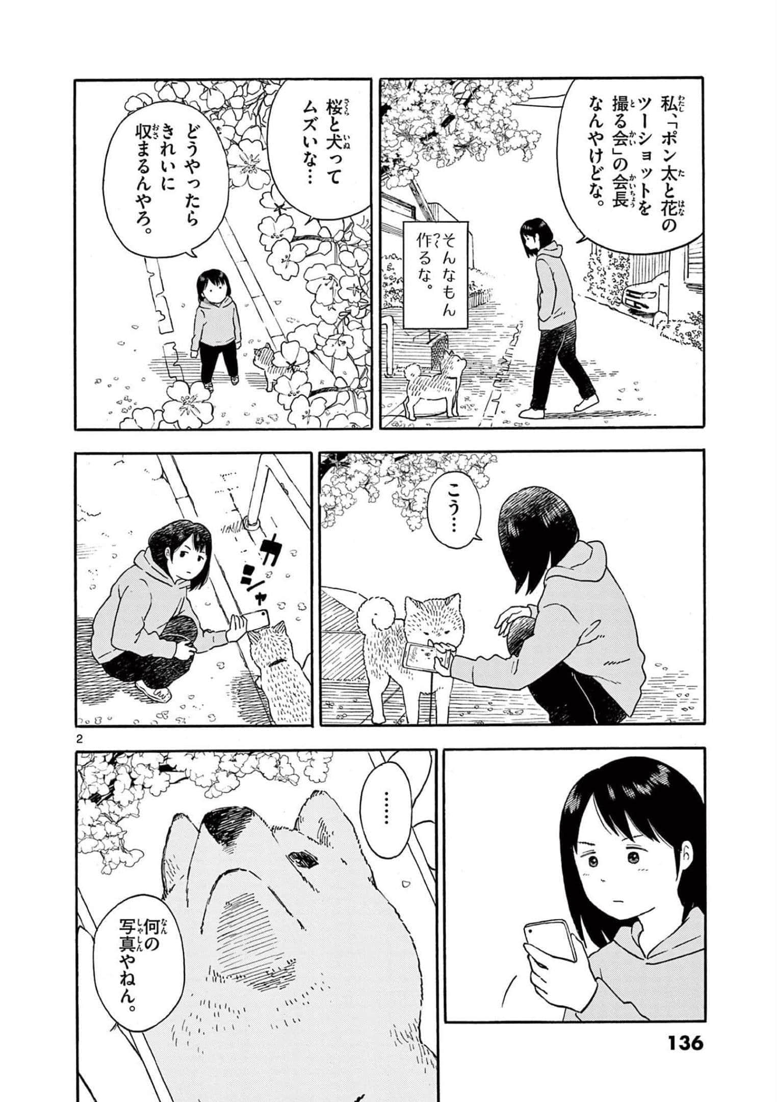 第 3 卷 第 137 页