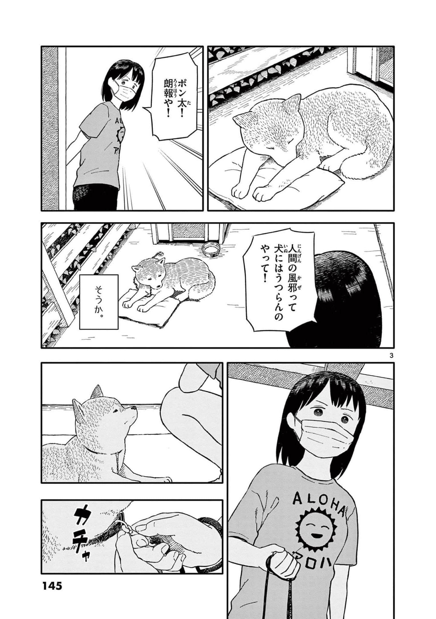 第 3 卷 第 146 页