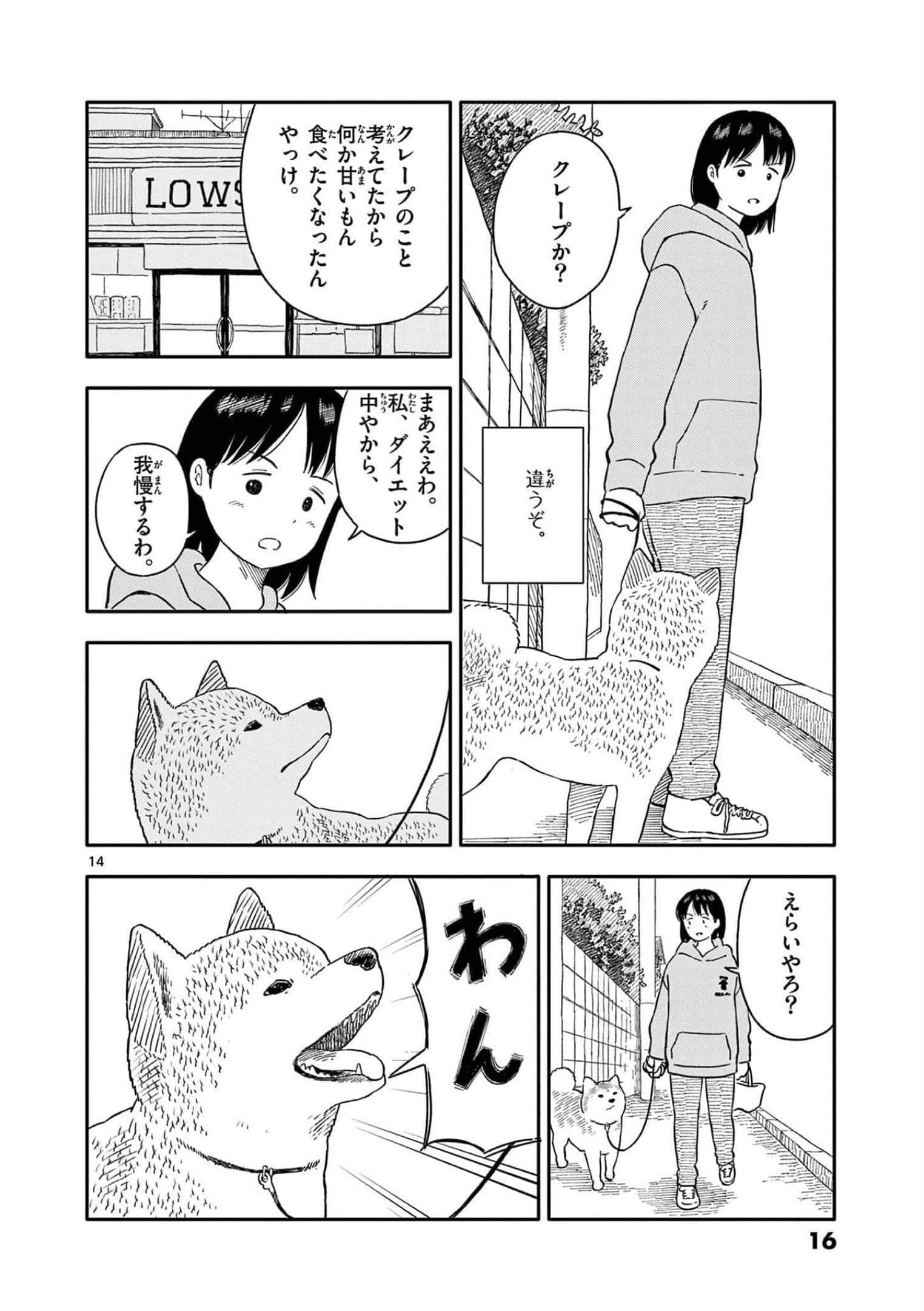 第 4 卷 第 17 页