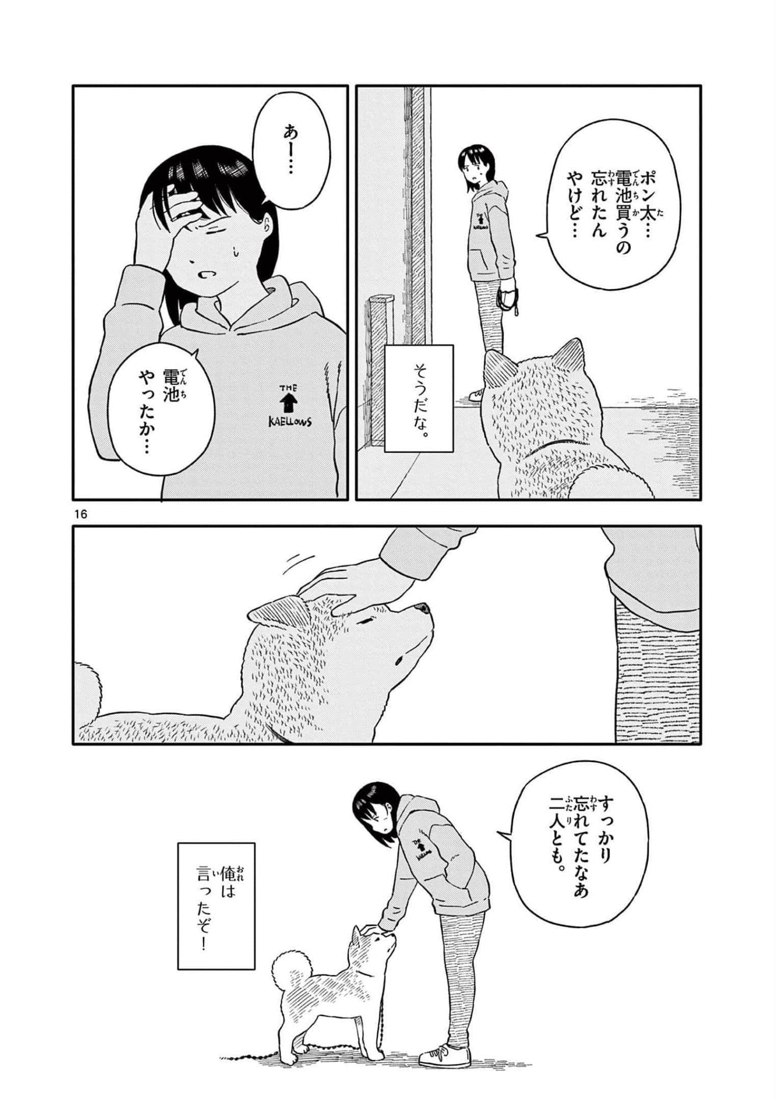 第 4 卷 第 19 页