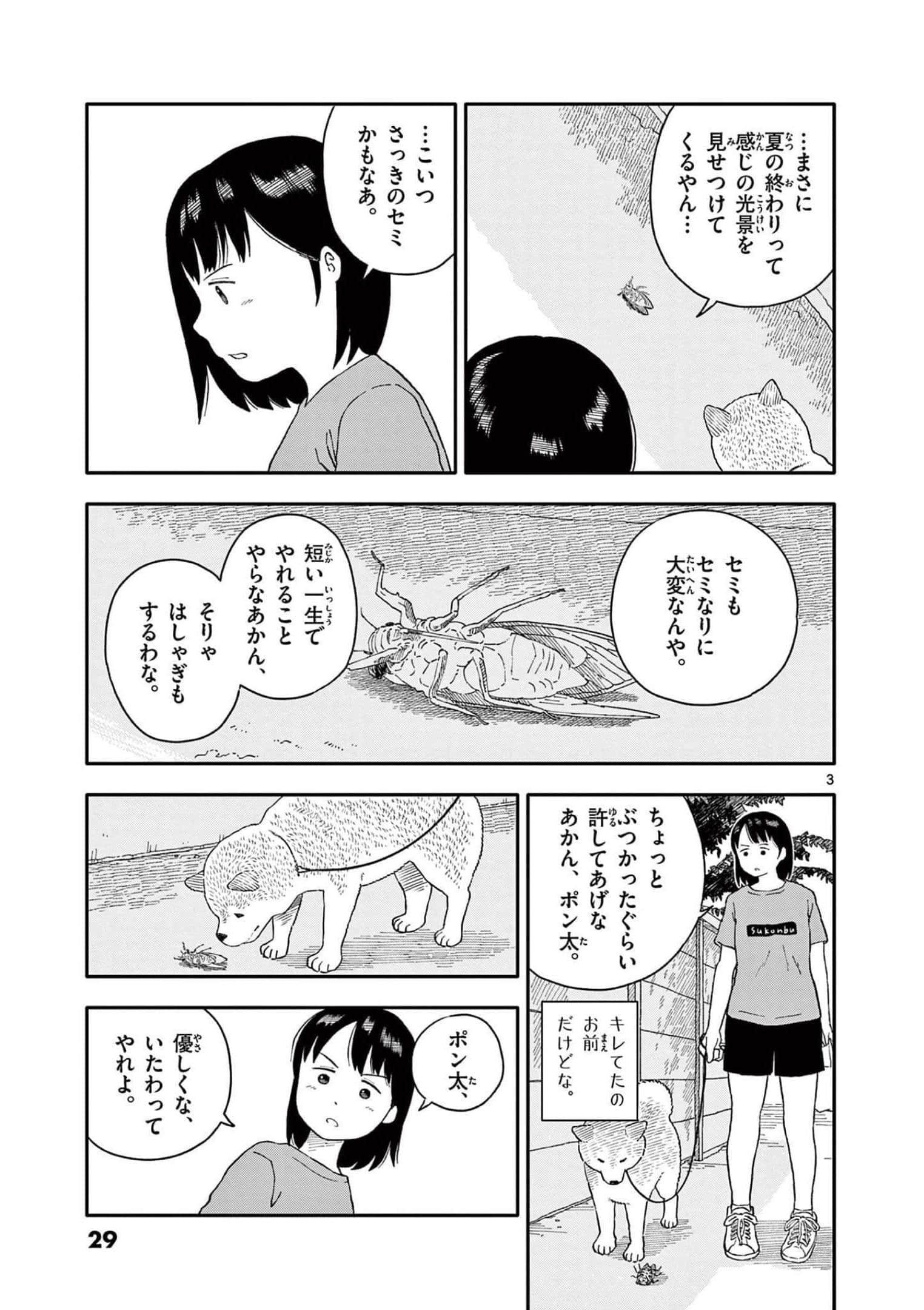 第 4 卷 第 30 页